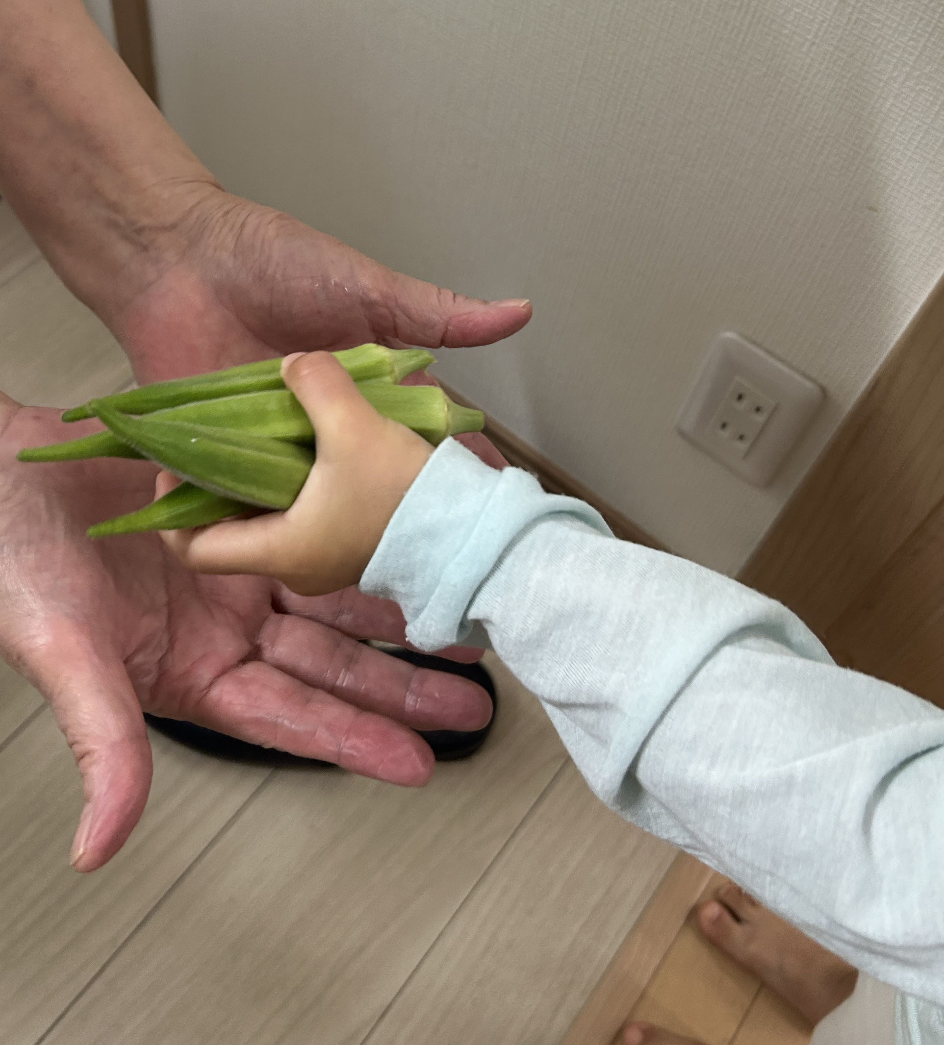 たくさん採れました！キッチンに持って行って、お願いします。今日はどんなお料理で出てくるのかな。