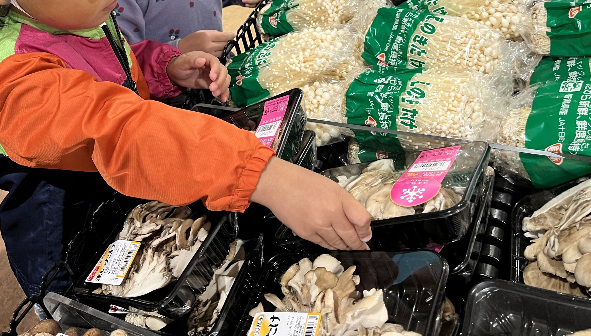 今日はみんなでお買い物に来ましたよ！　これこれ。　きのこ、、色々な種類を買いますよ。