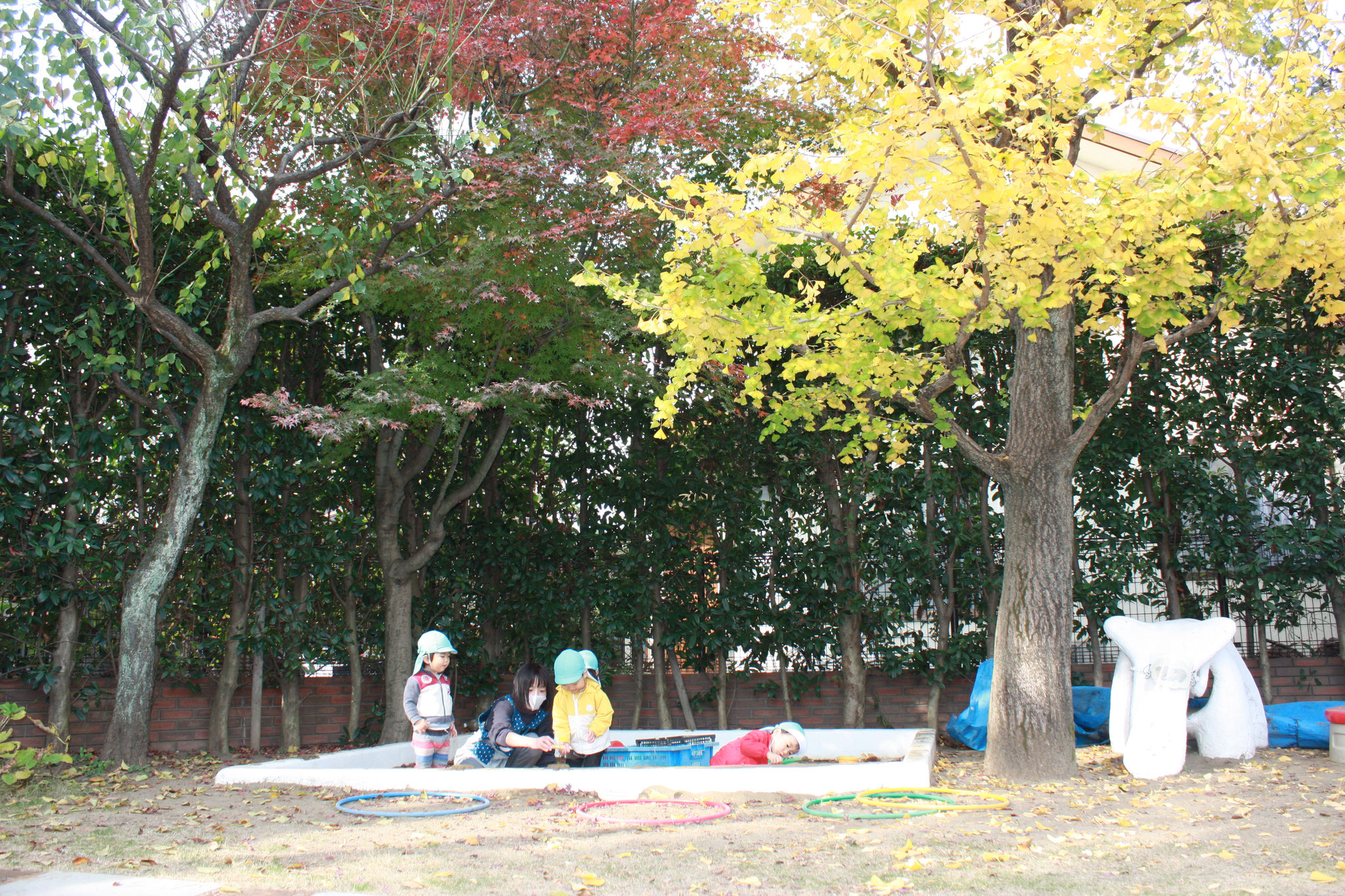 園庭の木々が色づきとてもきれいです