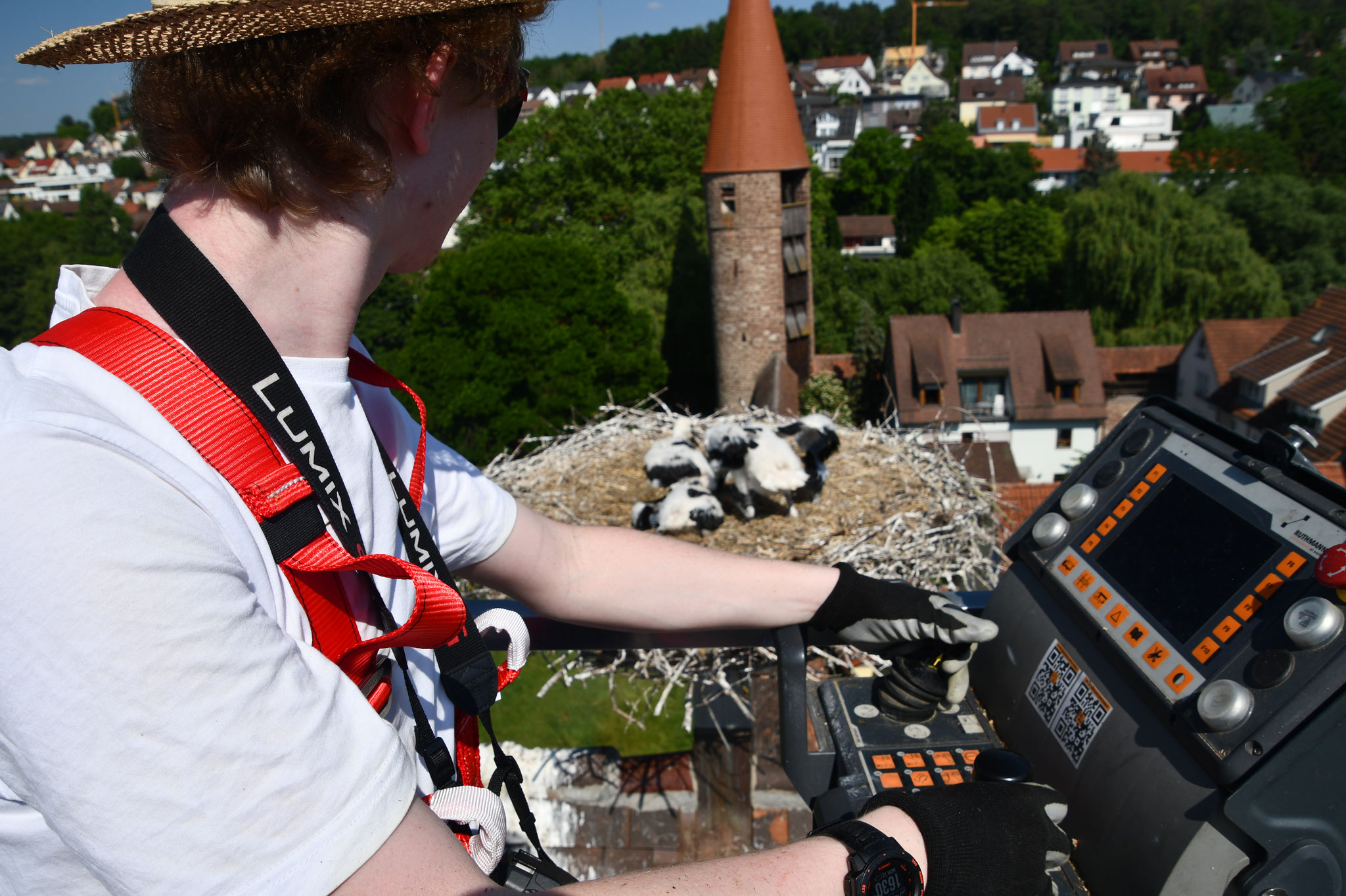 Schon kommt Bewegung in die Kleinen