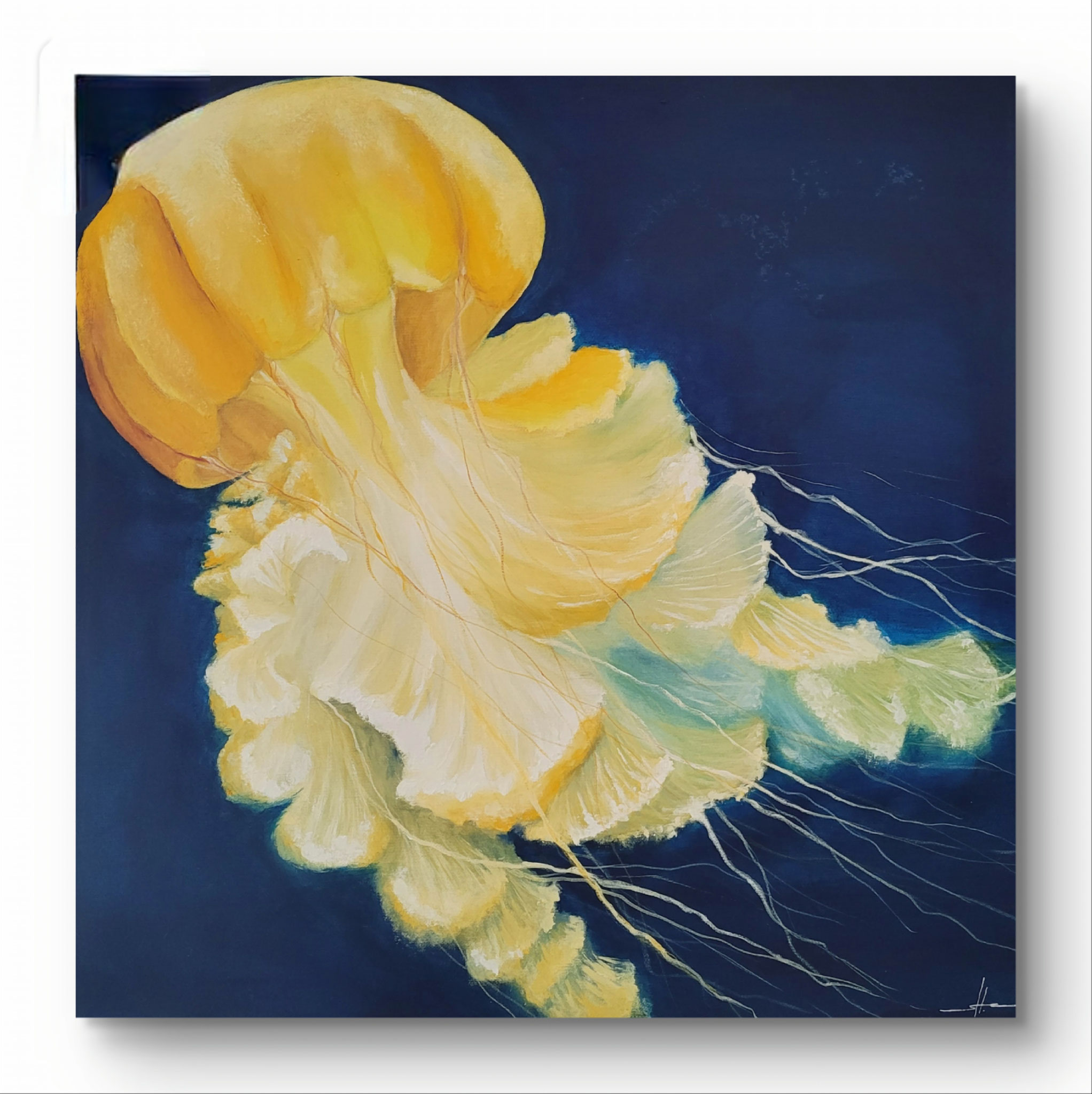 gelbe Kompassqualle / 50 x50 cm / Gouache auf Leinwand/ 2018