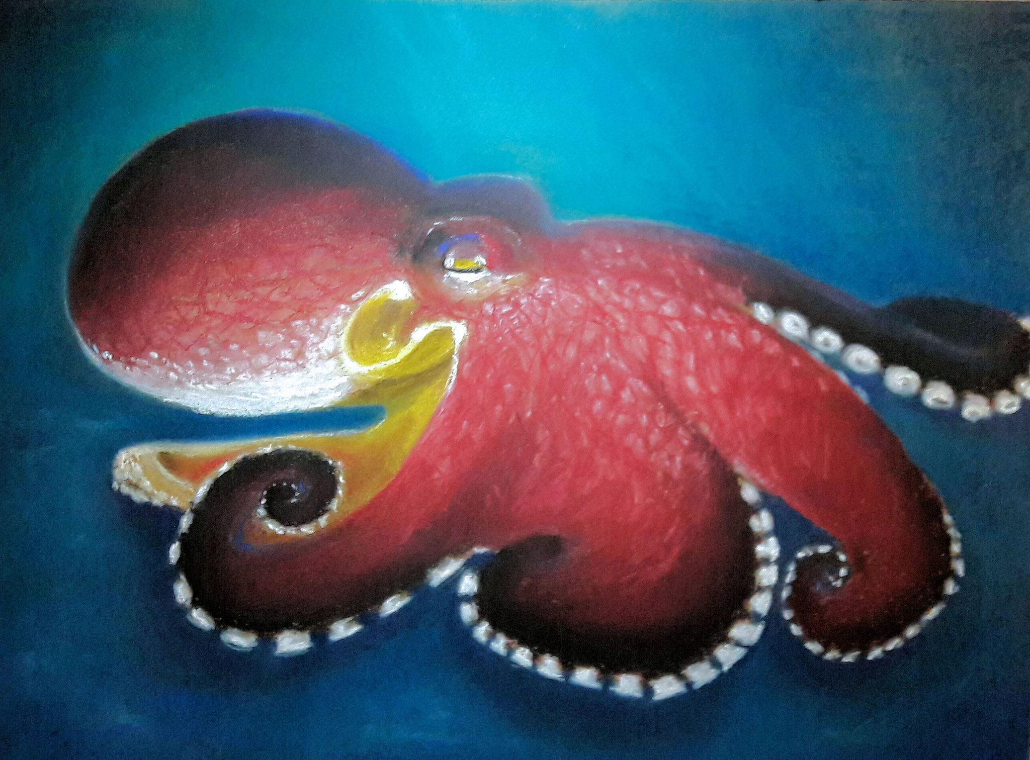 ---VERKAUFT--- Oktopus / 50 x 40 cm / Pastellkreide auf Papier / 2017