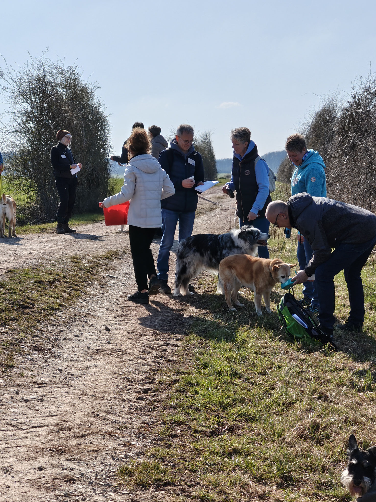 Pause und Sachverhalte zusammentragen