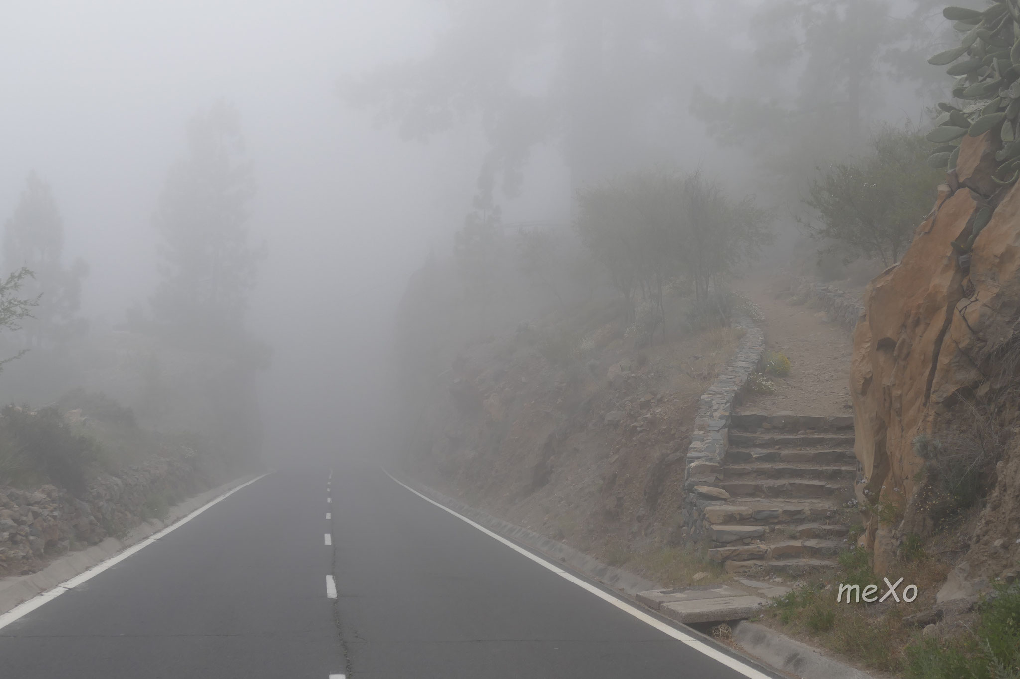 Eine Straße. Im Nebel.