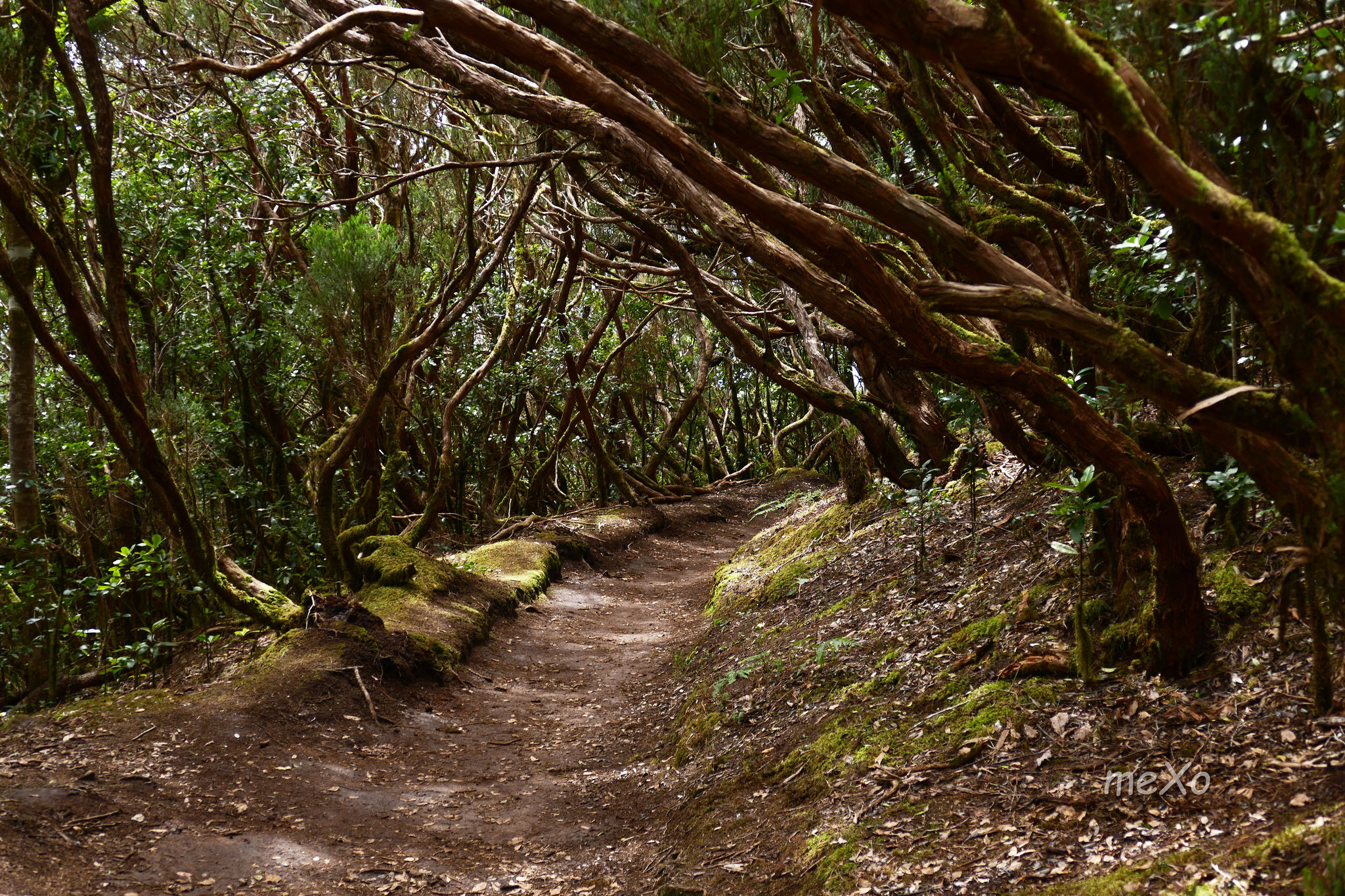 Des Teides sein Nationalpark. Glaube ich.