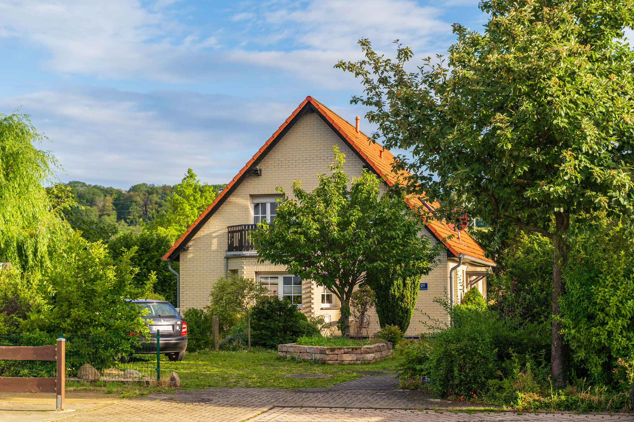 Blick in den Garten