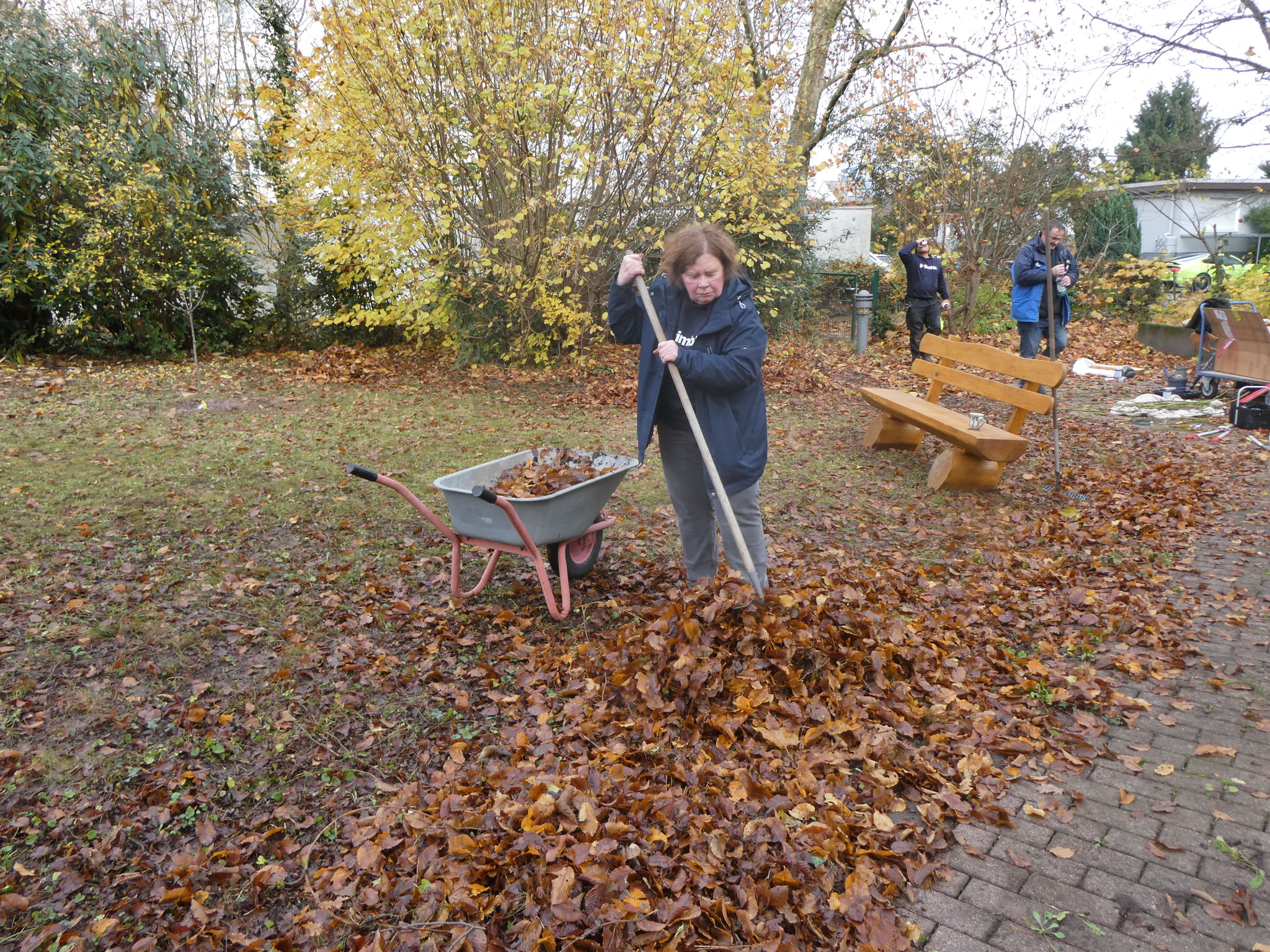 Das Laub vom Rasen wird weggerecht
