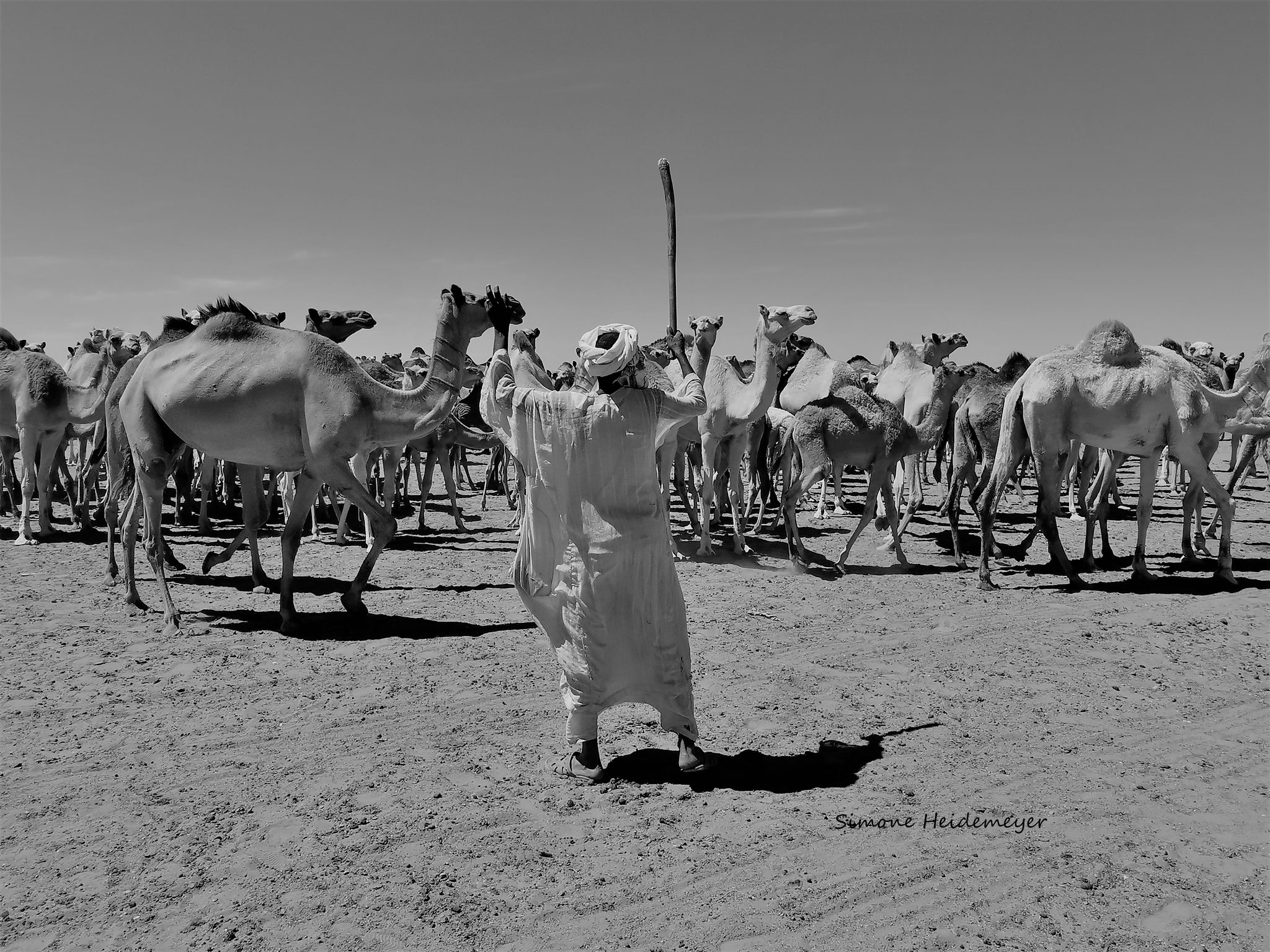 Morgenappell in der Wüste Sudans