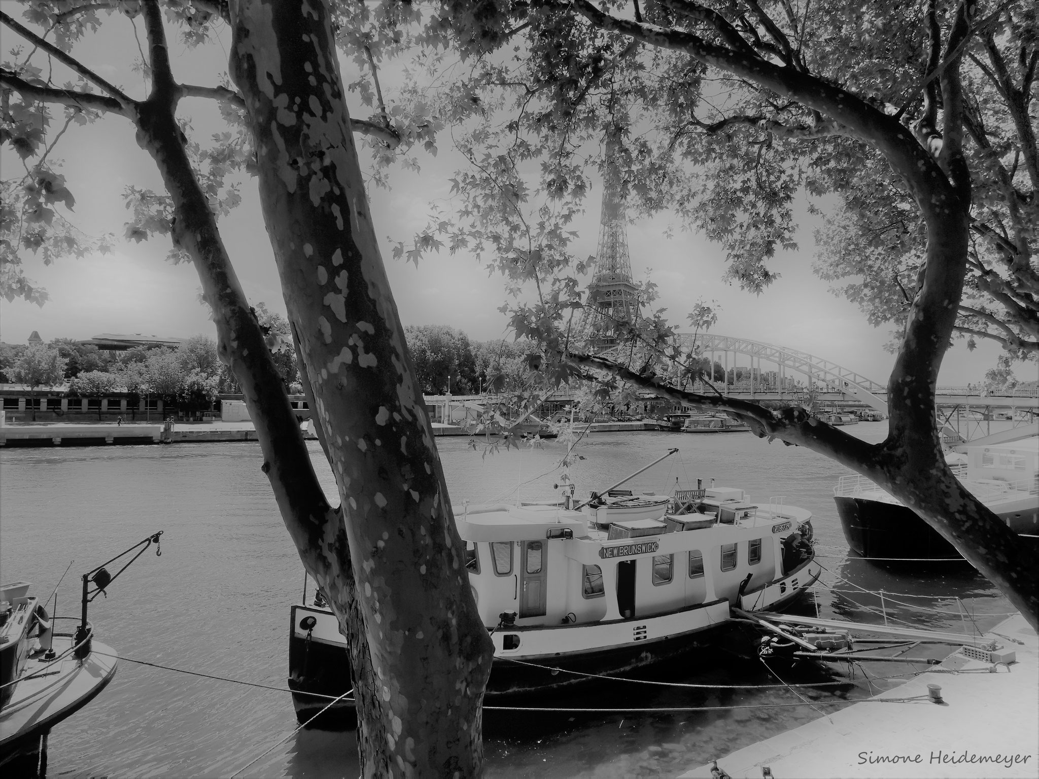 Le bateaux sur la Seine