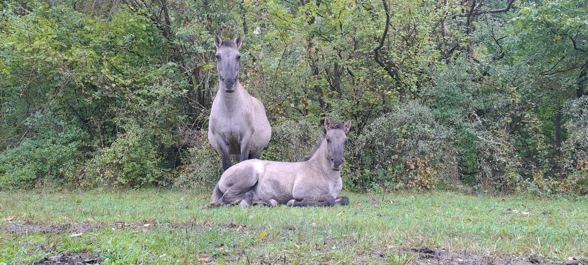 Die Chefin und ihr Sohn