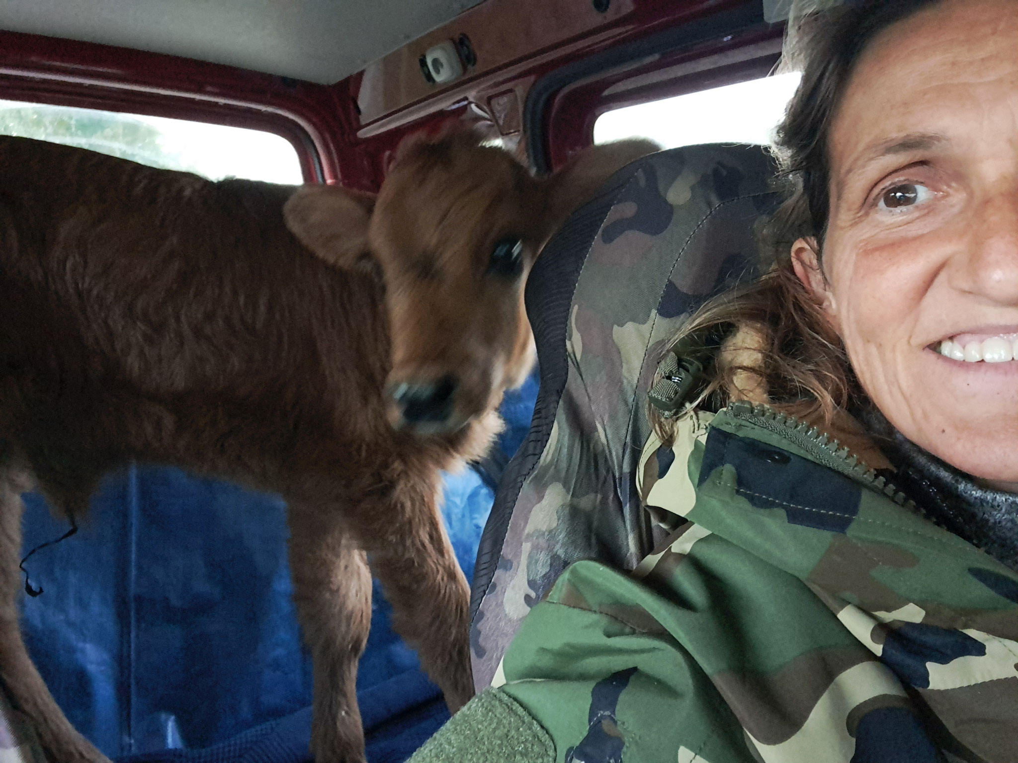 nun ab zum Tierarzt, absoluter Notfall