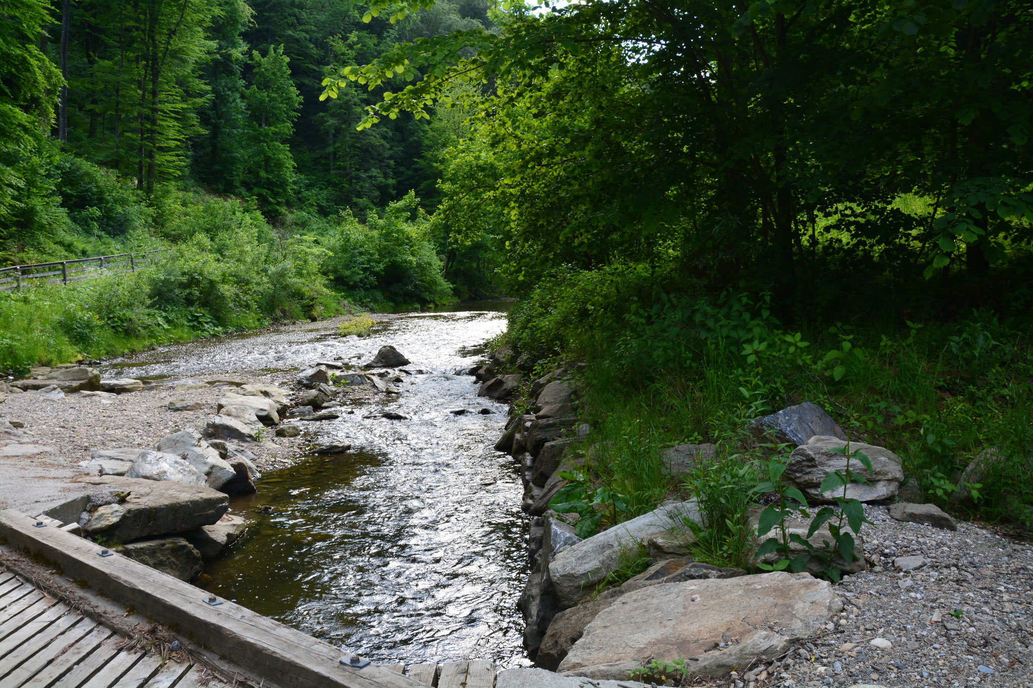 Flusslandschaft Feistritz