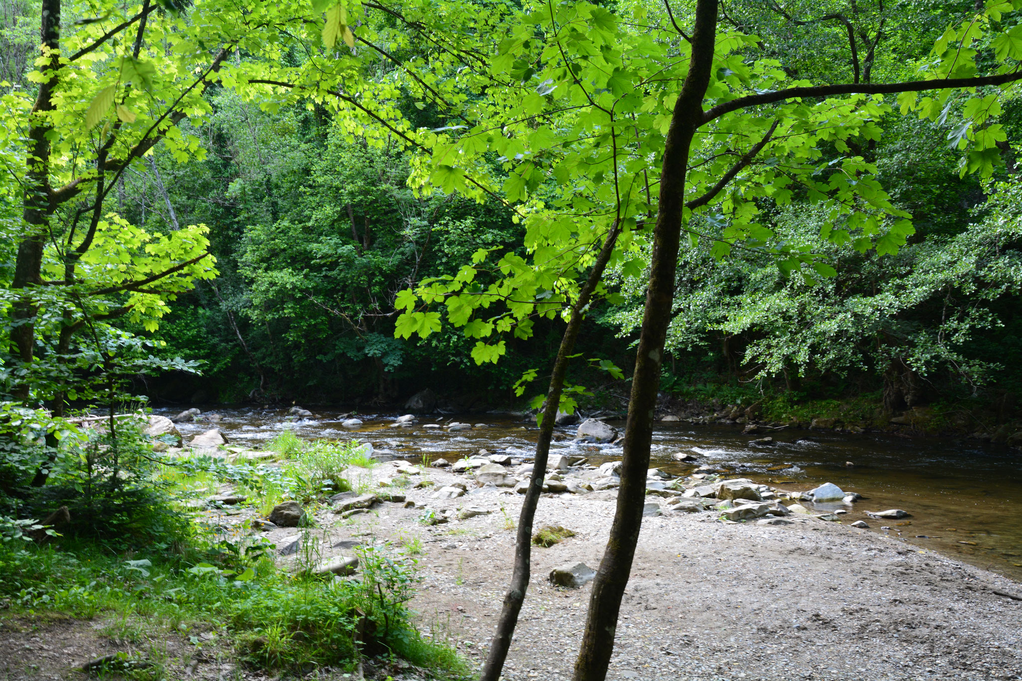 Flusslandschaft Feistritz