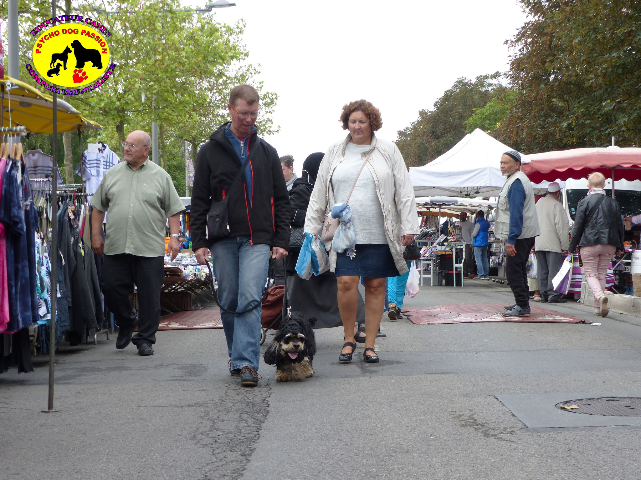 Des promenades au marché devenues agréables