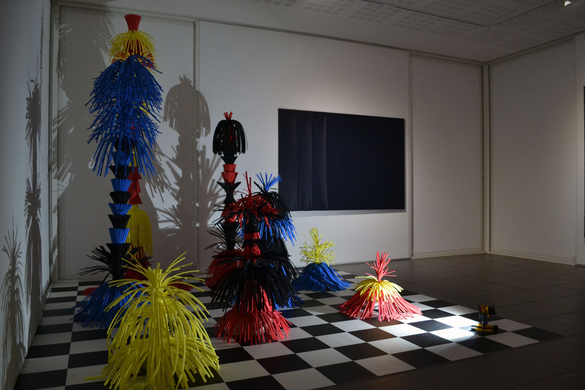 Copyright Marine Provost