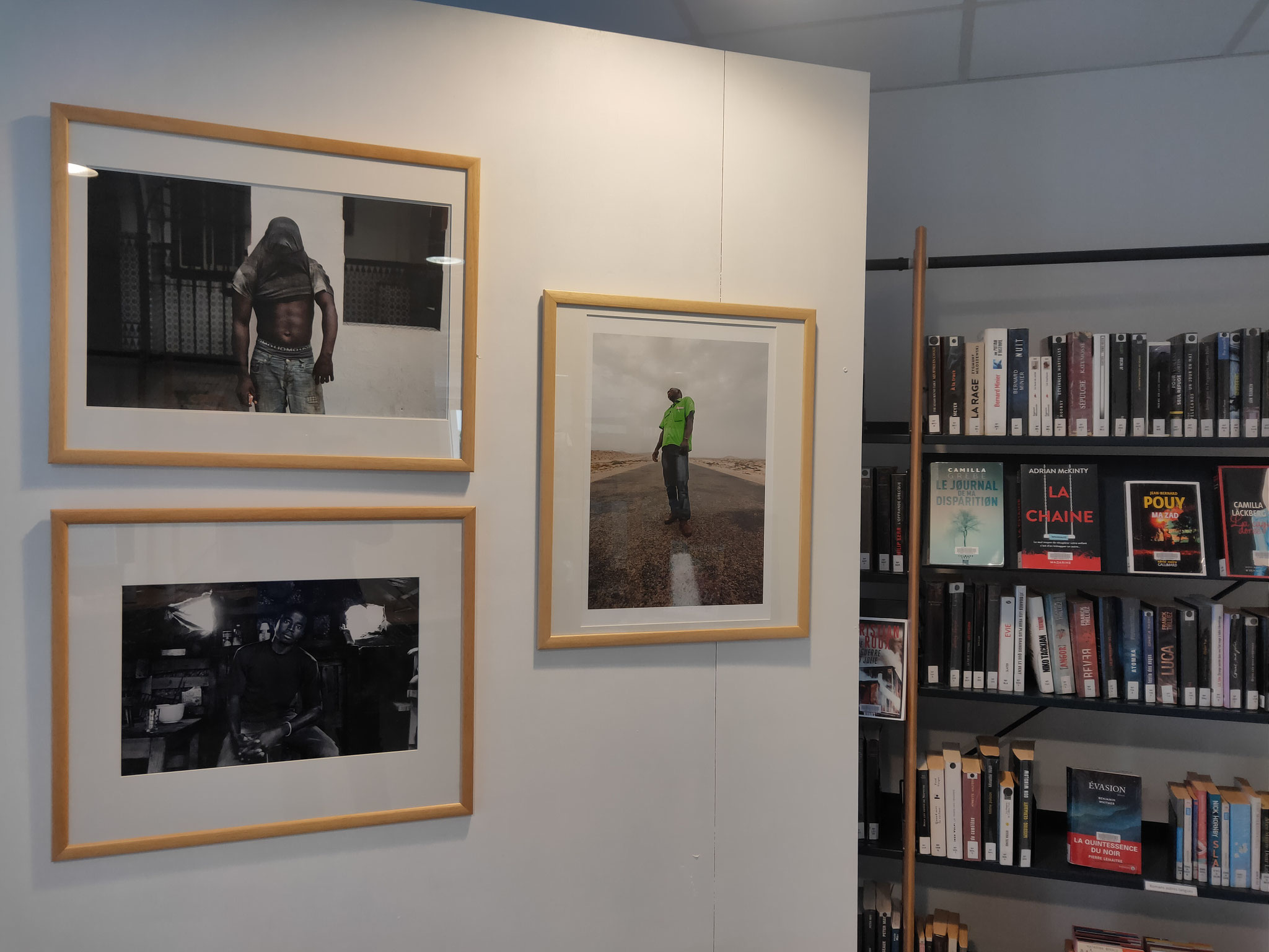 Médiathèque de Breteil - Exposition "Migration"