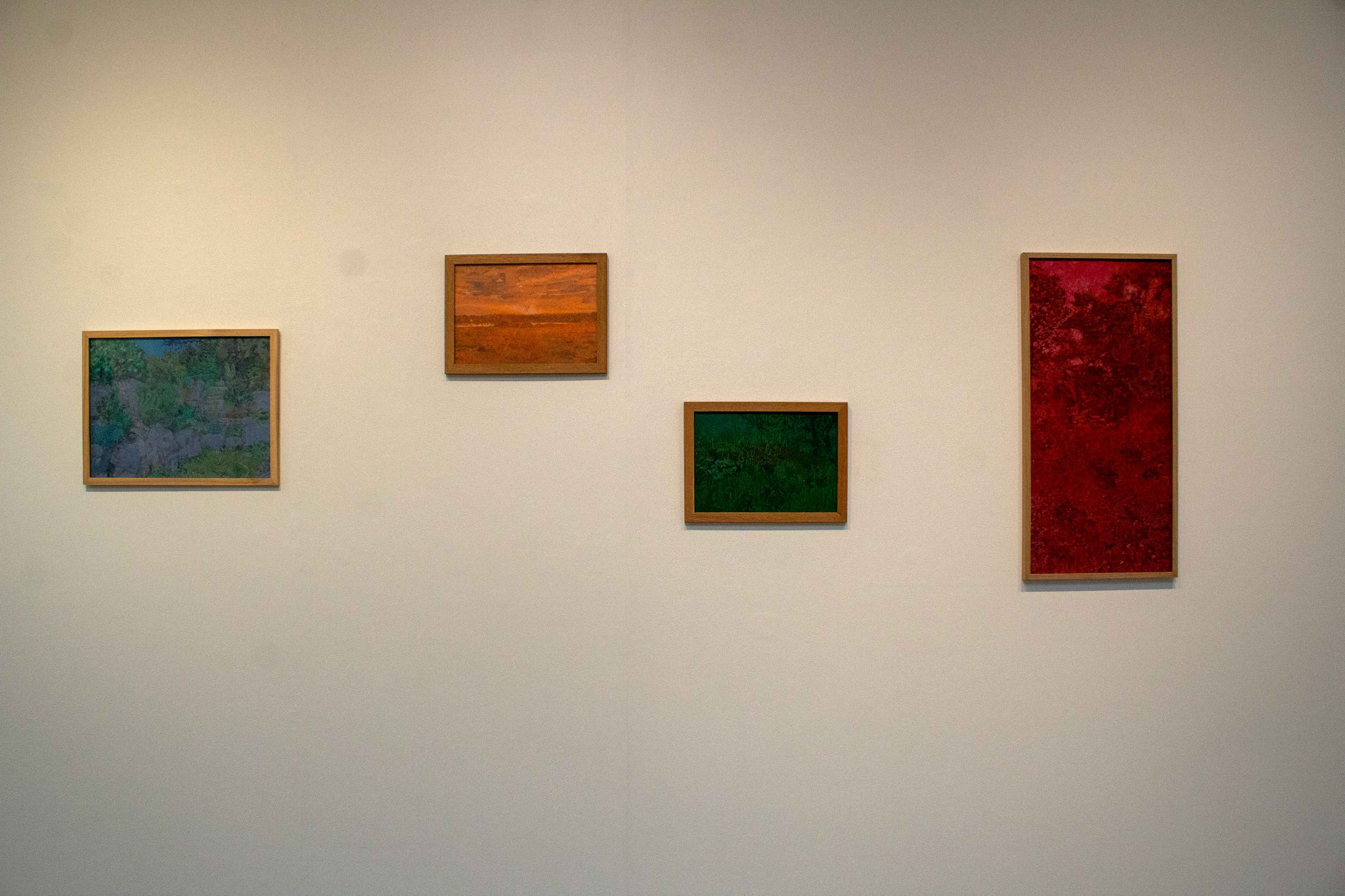 Vue de l'exposition Gwenn Mérel, La terre a-t-elle couvé ce jardin de couleurs ?