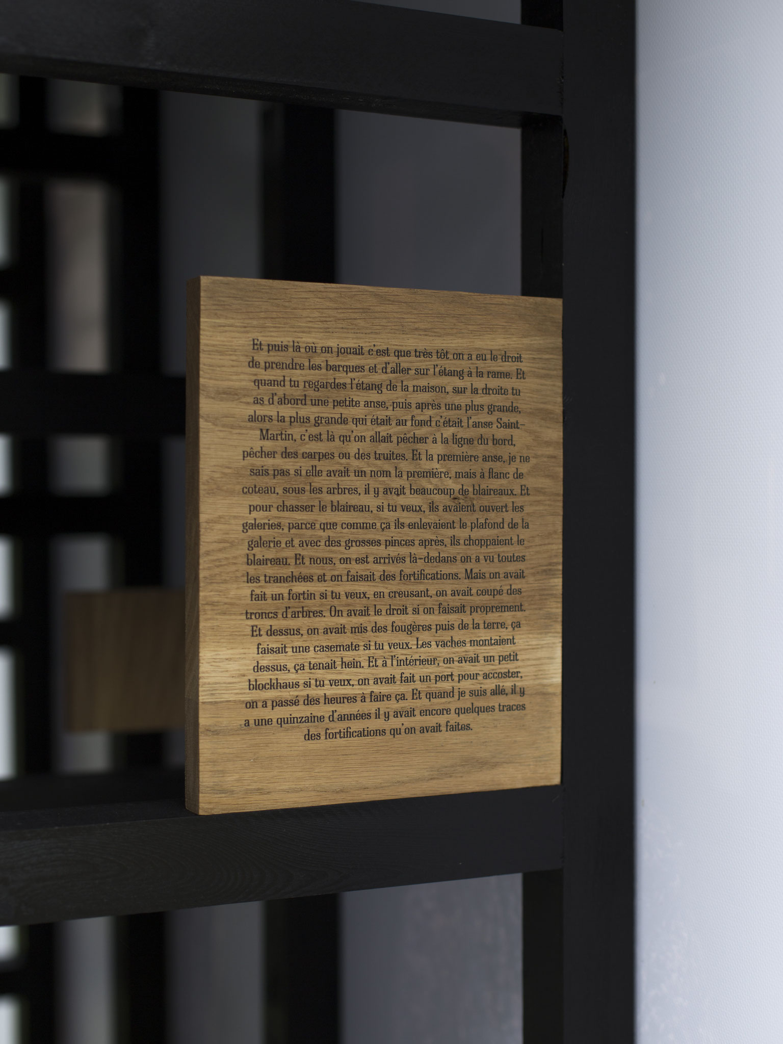 Vue de l'exposition "Alors que la nuit tombe". Photo : Maxime Voidy