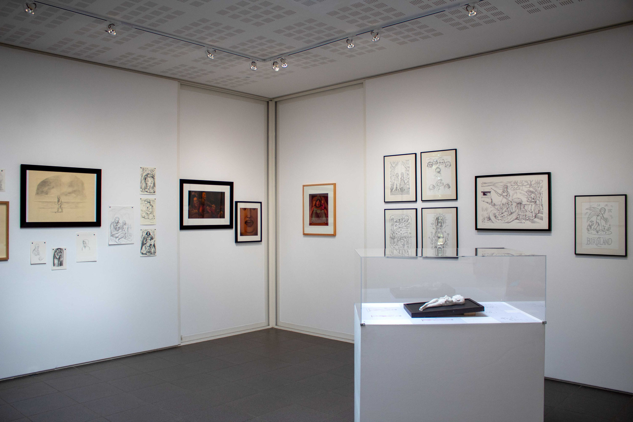 Vue de l'exposition Hors-peaux, de Ludovic Debeurme