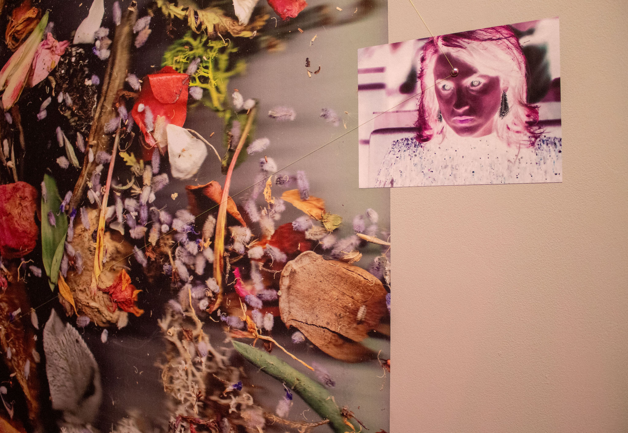 Furie # 2, tirage photographique, portrait de Adèle Haenel, 2023 et Les enfant·es du compost, papier peint, scans d'éléments en décomposition, 202