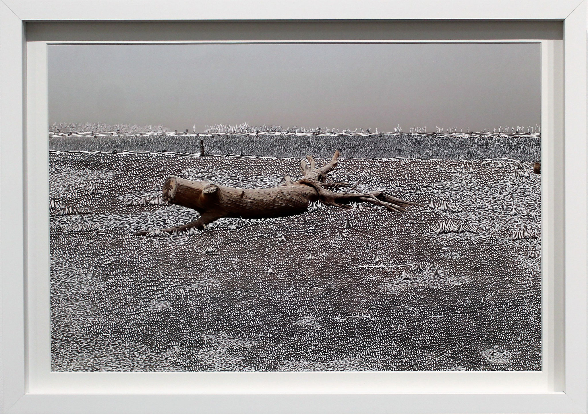 Quand les eaux se retirent, Raphaëlle Peria, 30 x 45cm, 2020