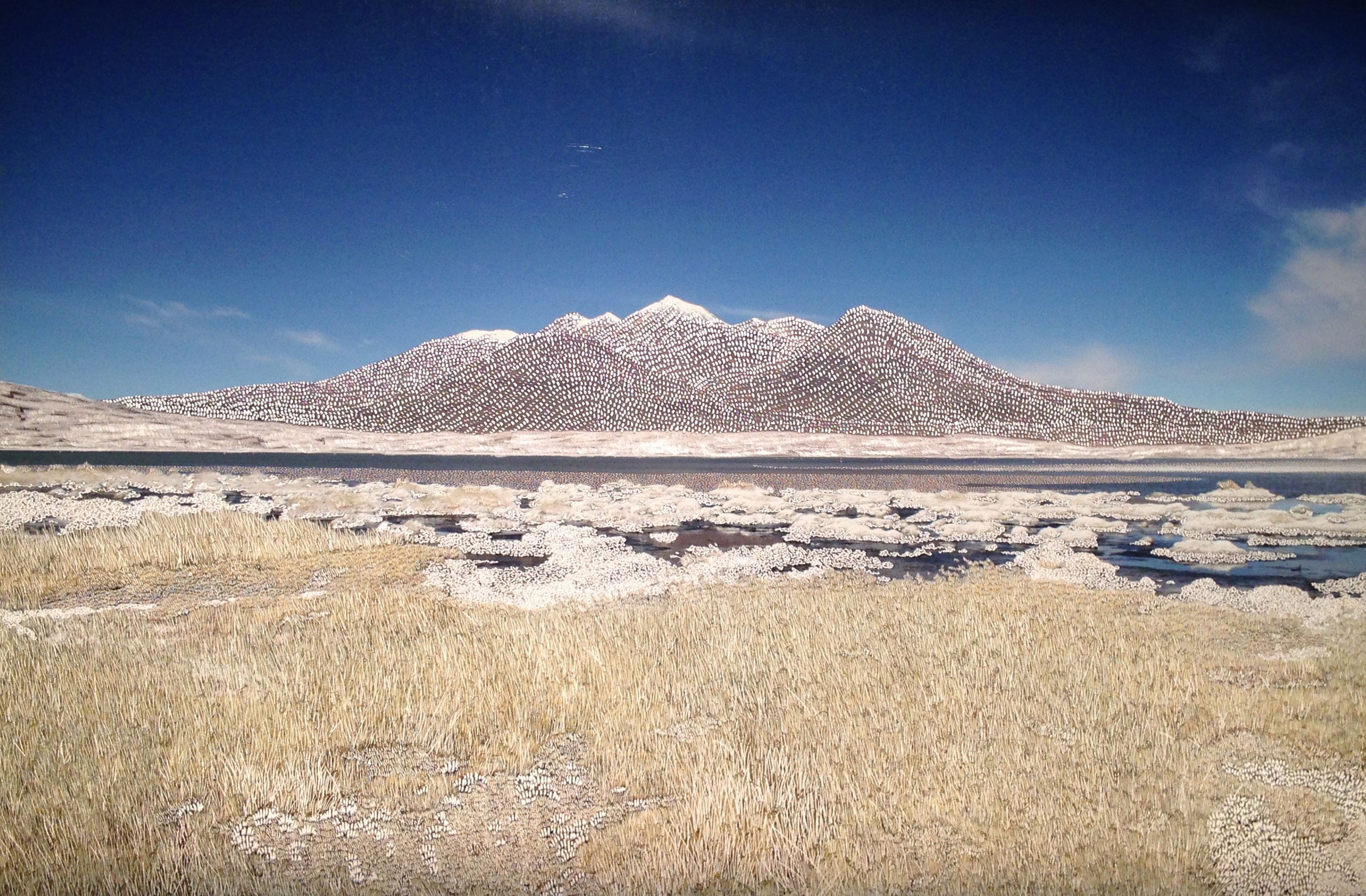 Raphaëlle Peria, Bleu#5, grattage sur photographie, 60 x 90cm, 2017