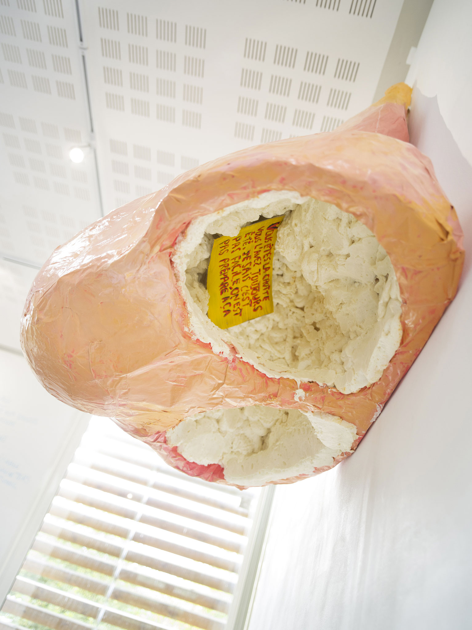 Vues de l'xposition Anaïs Touchot, J'y laisserai ma vieille peau. Photo : Vincent Malassis