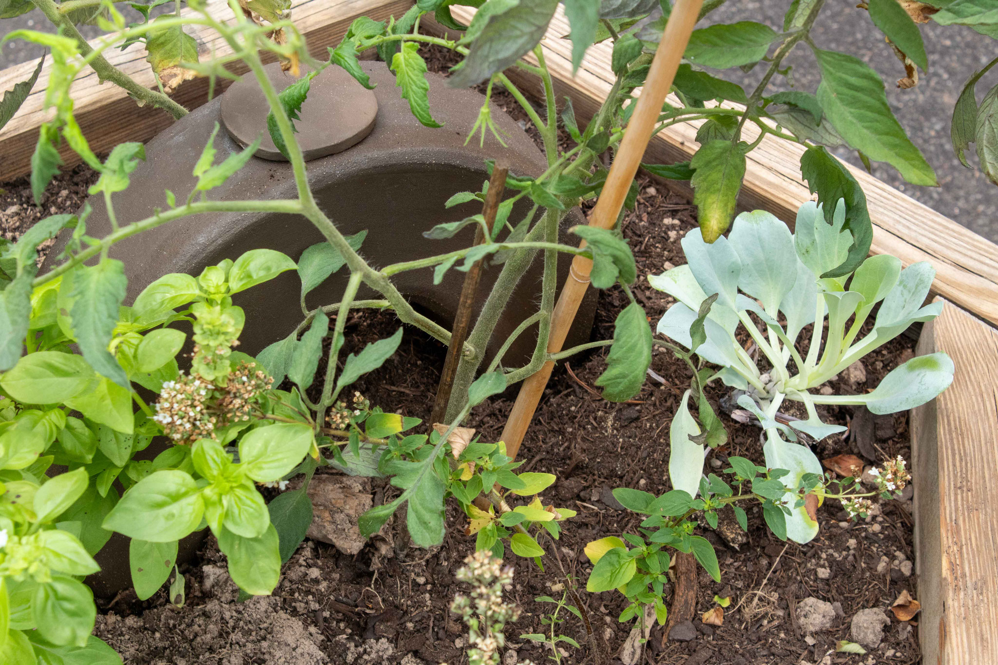 Oyas, sculpture en céramique, installation florale et carré potager, 2023 (Installation mobile). Production L'aparté