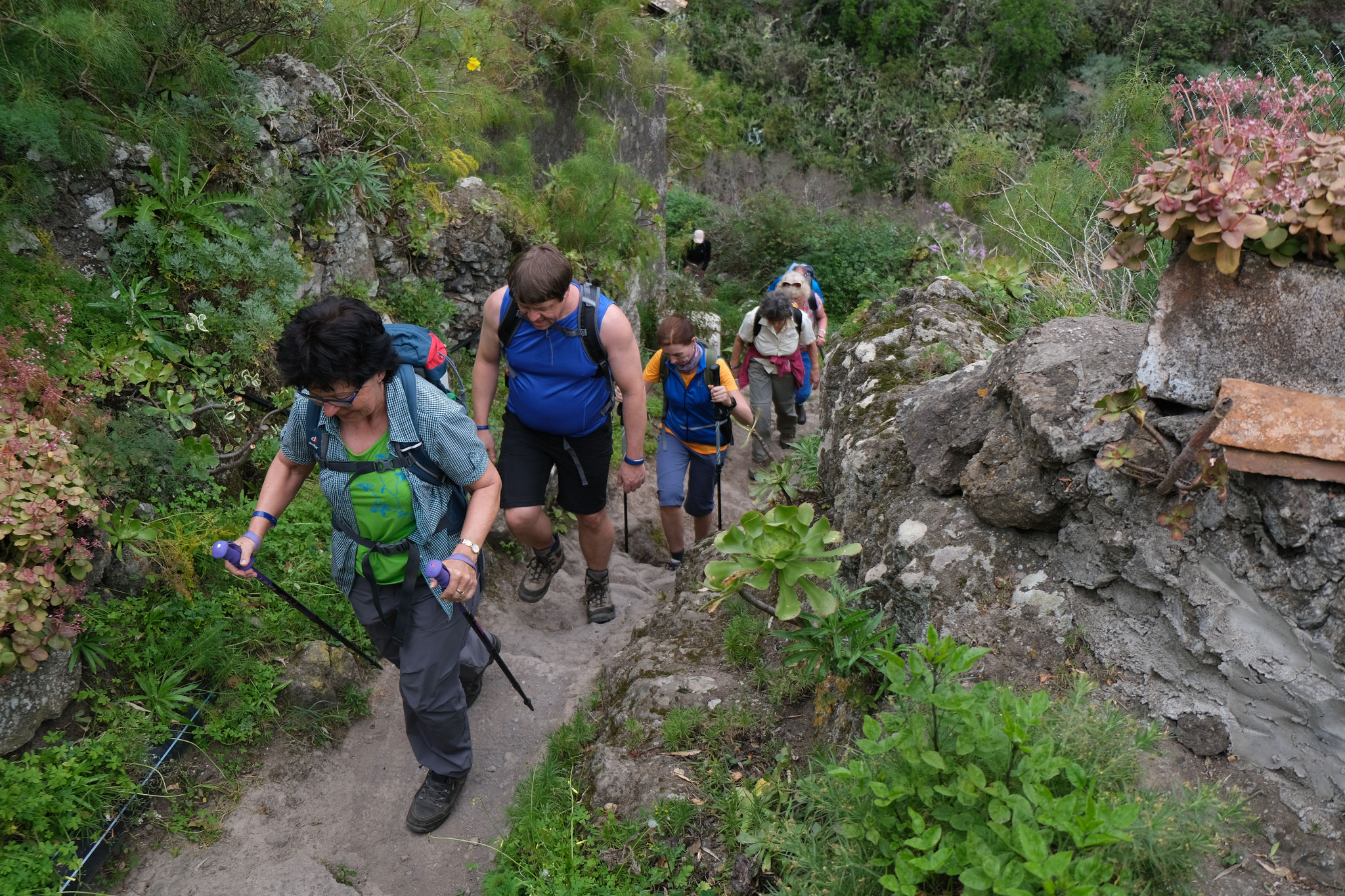 Hiking holidays for groups De website van moganverde