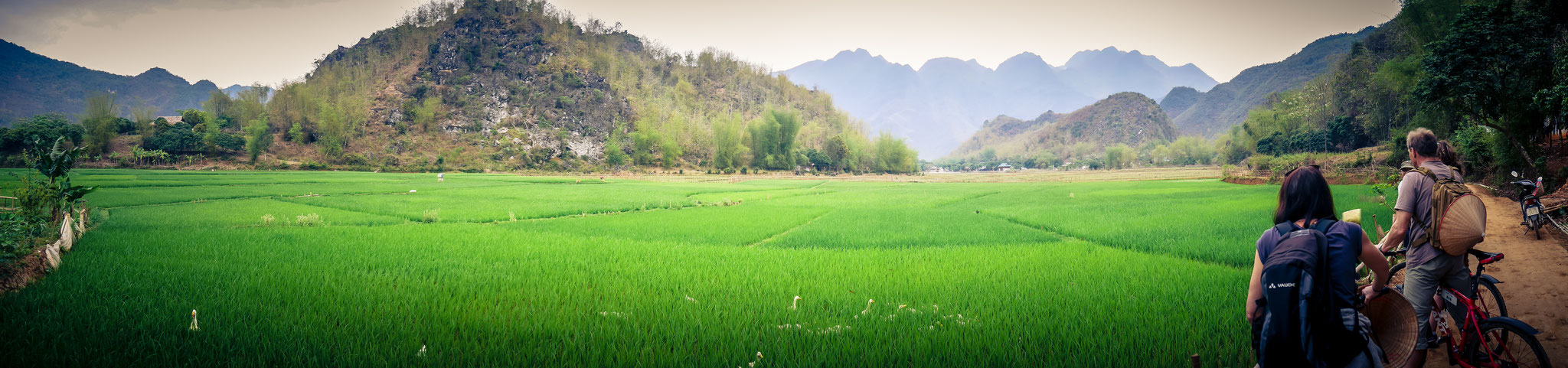 Reisfelder Mai Chau