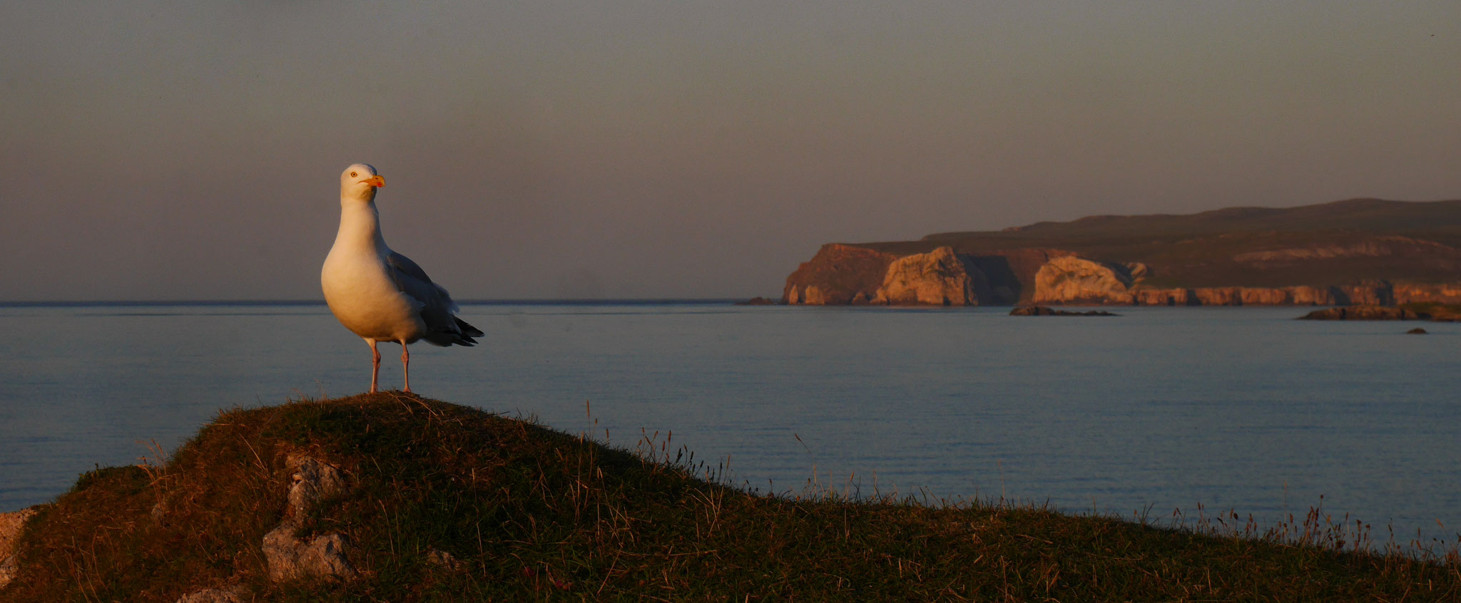 Durness