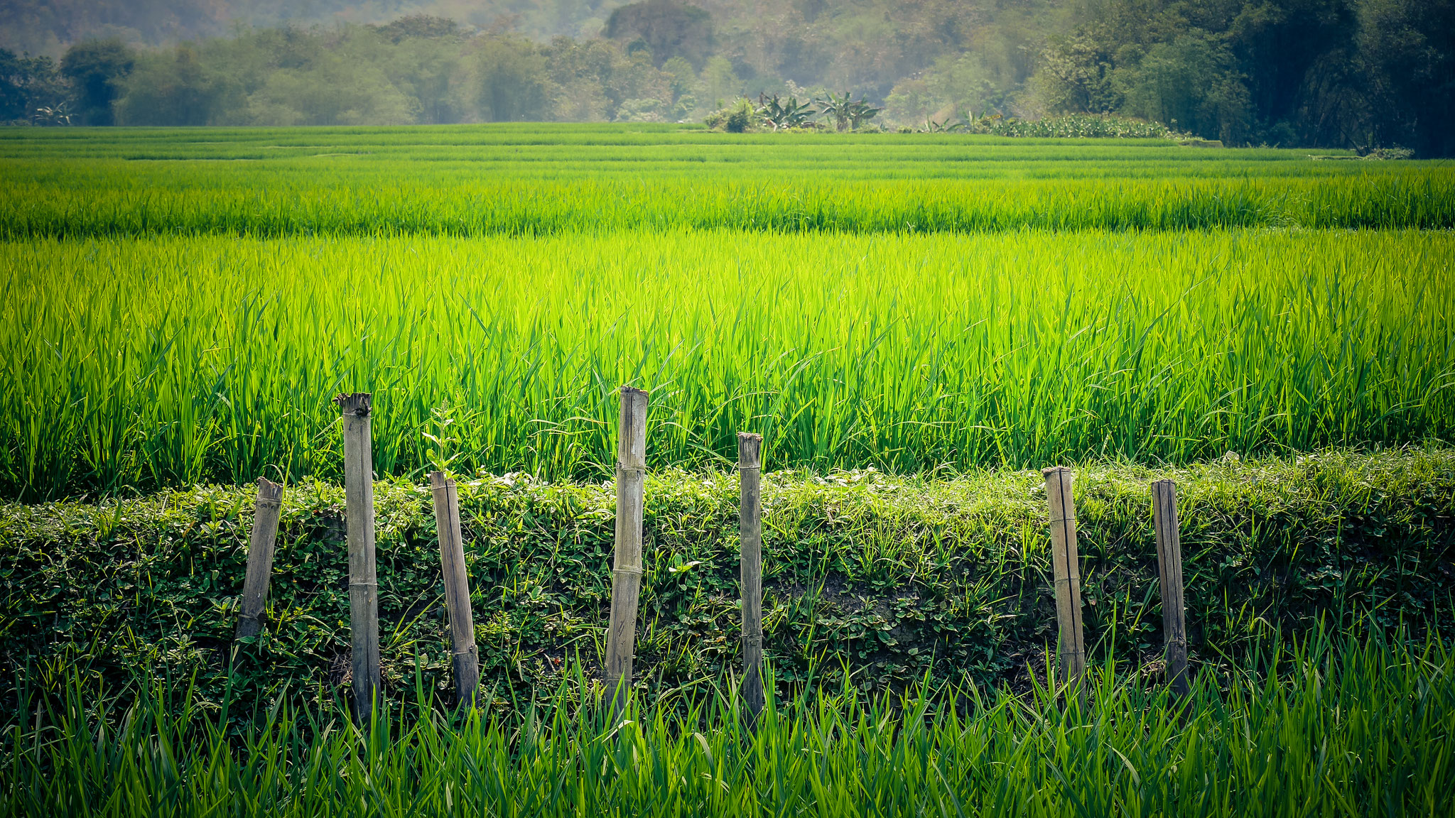 Unterwegs in Mai Chau