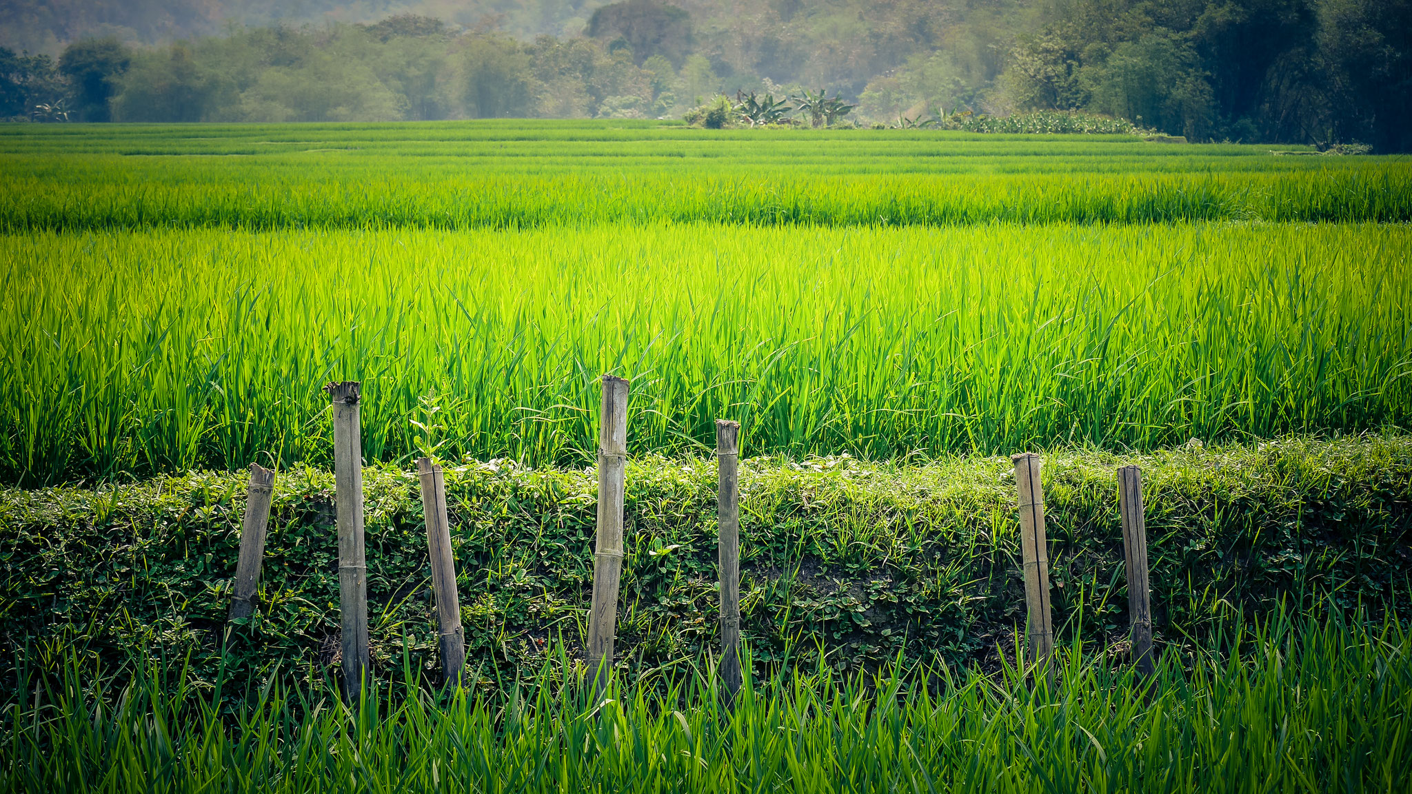 Unterwegs in Mai Chau