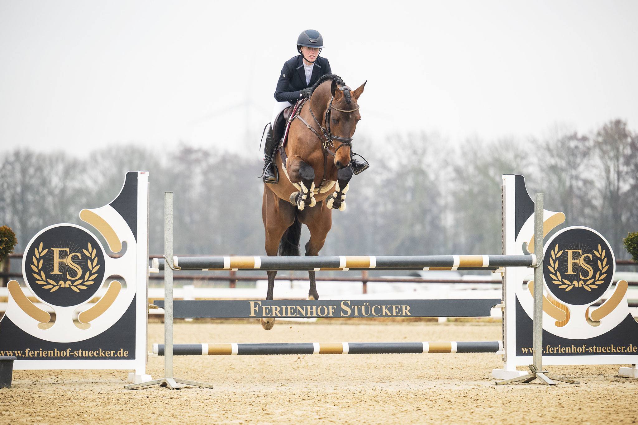 Cento´s-Star | Ferienhof Stücker