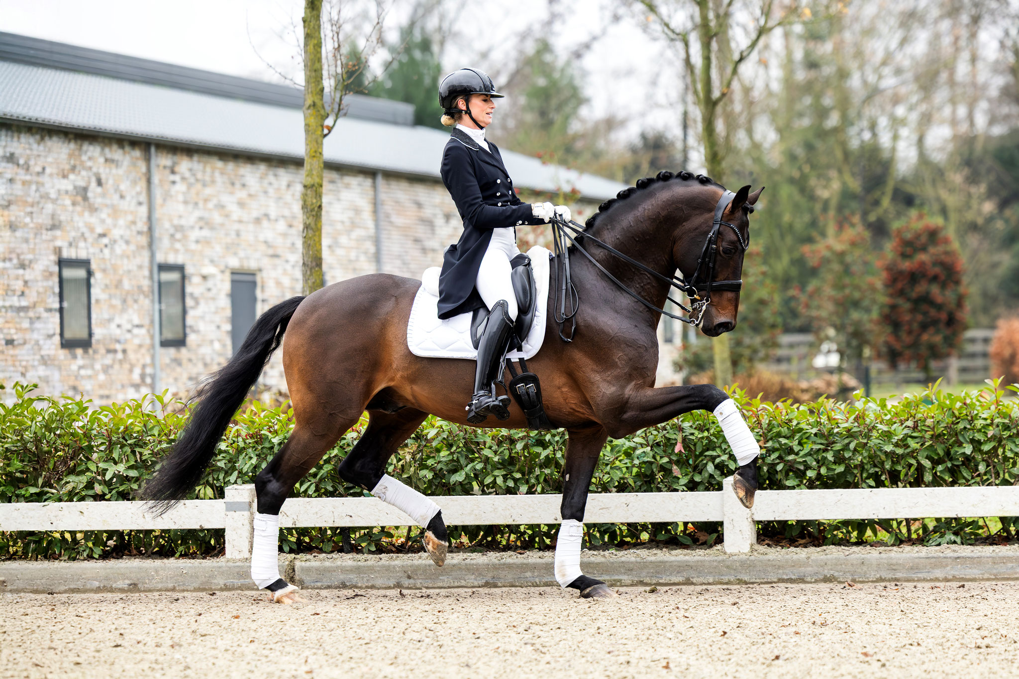 Merlot VDL | Ferienhof Stücker