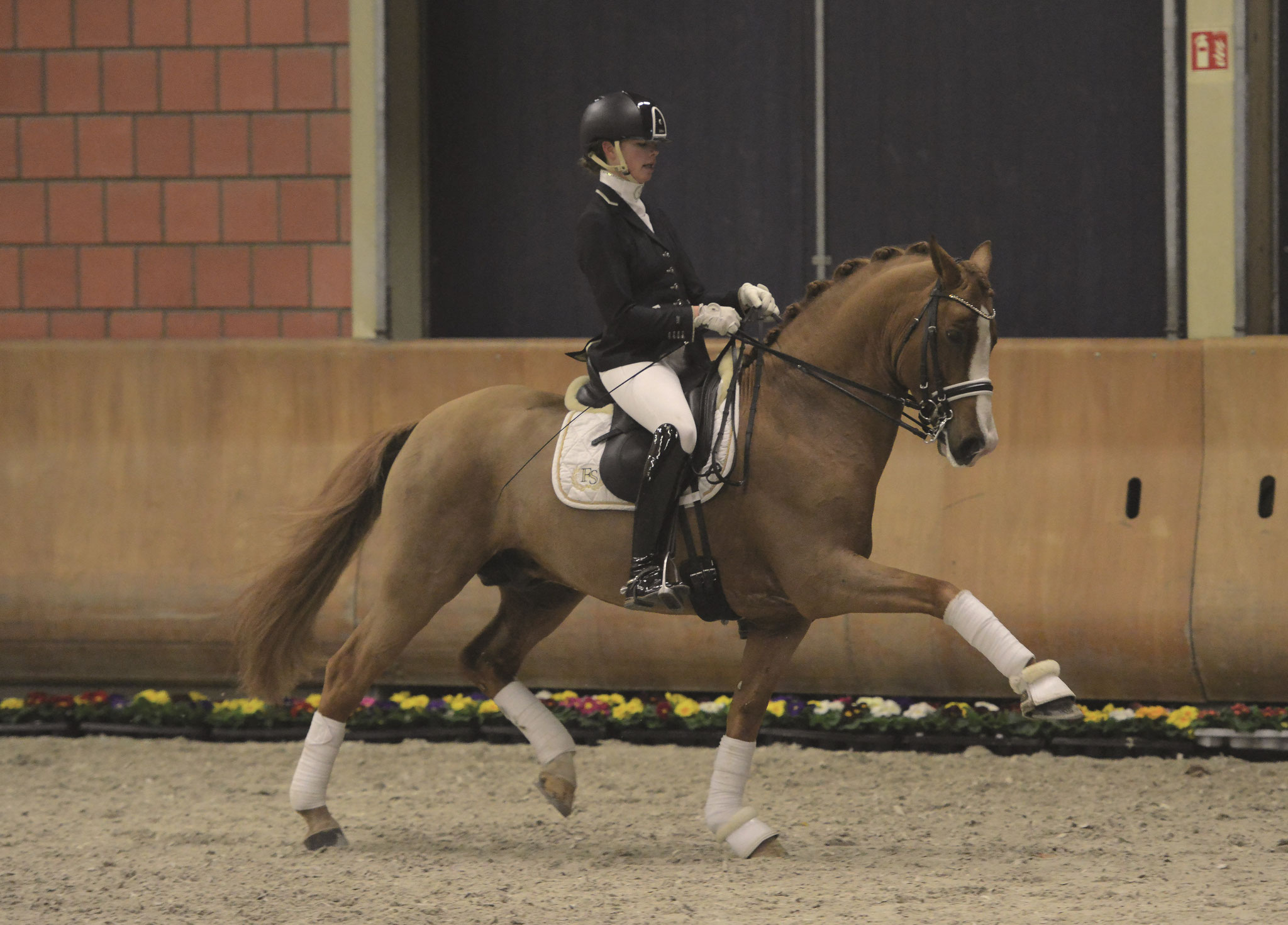FS Numero Uno | Ferienhof Stücker