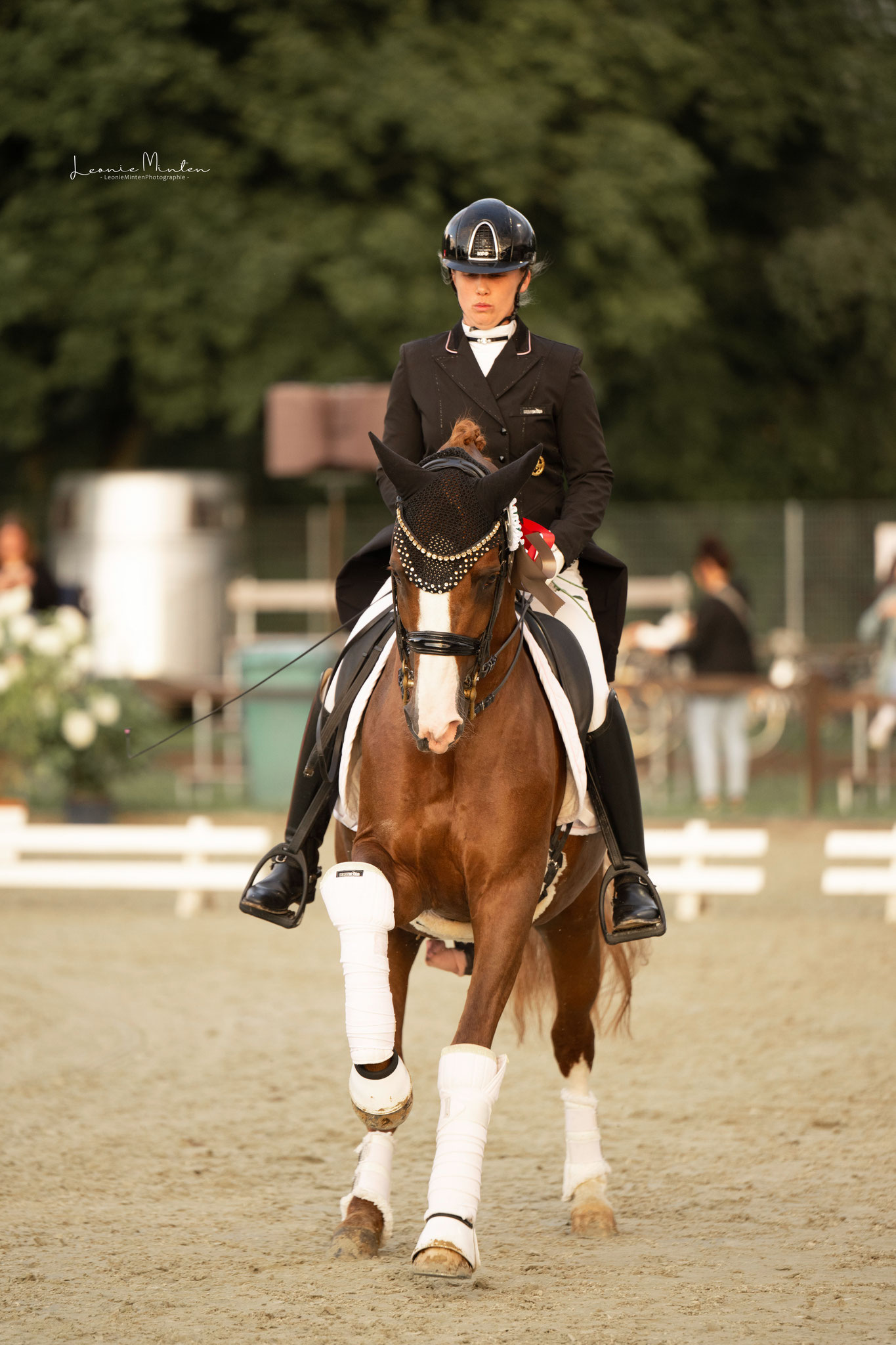 FS Numero Uno | Ferienhof Stücker