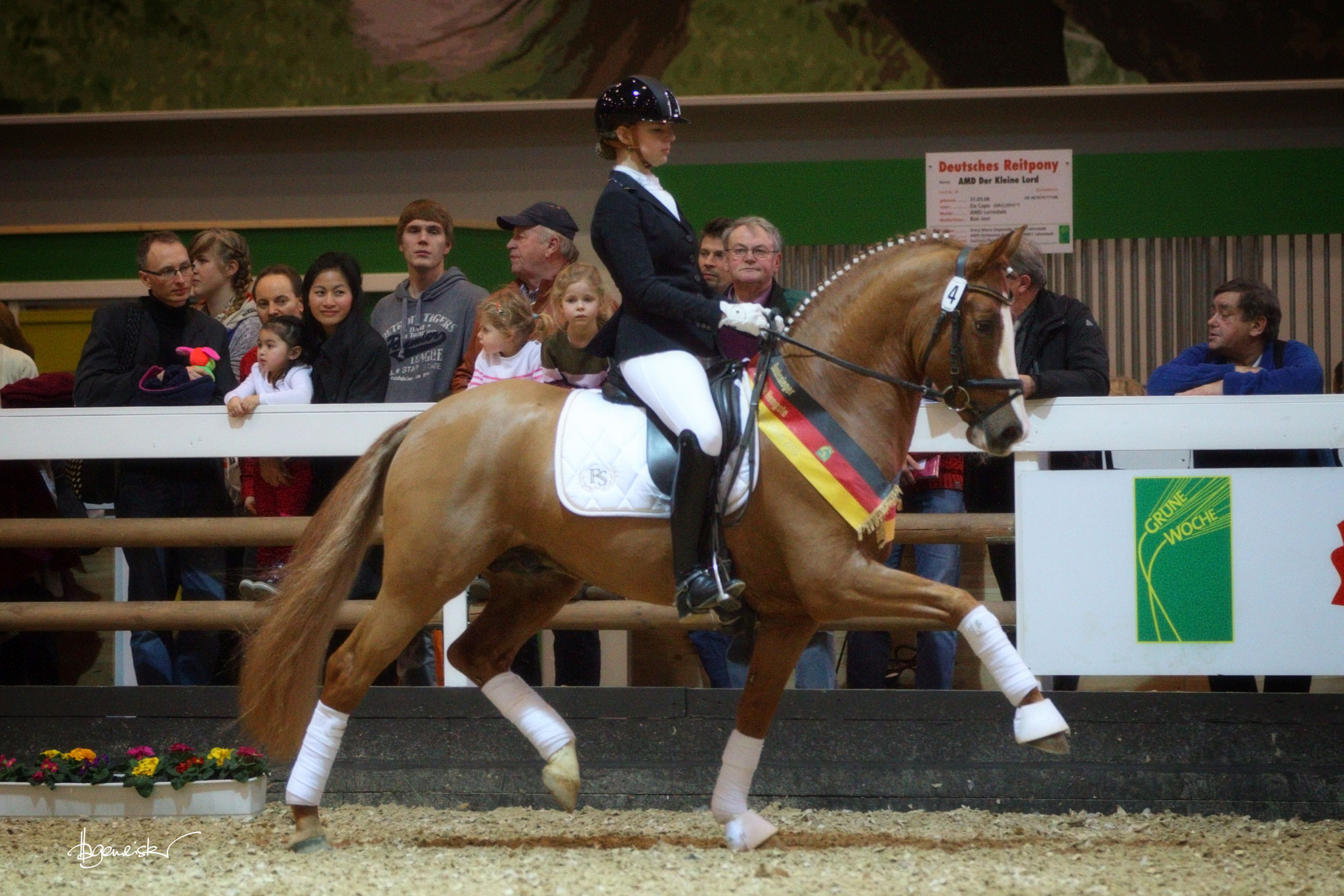 FS Numero Uno | Ferienhof Stücker