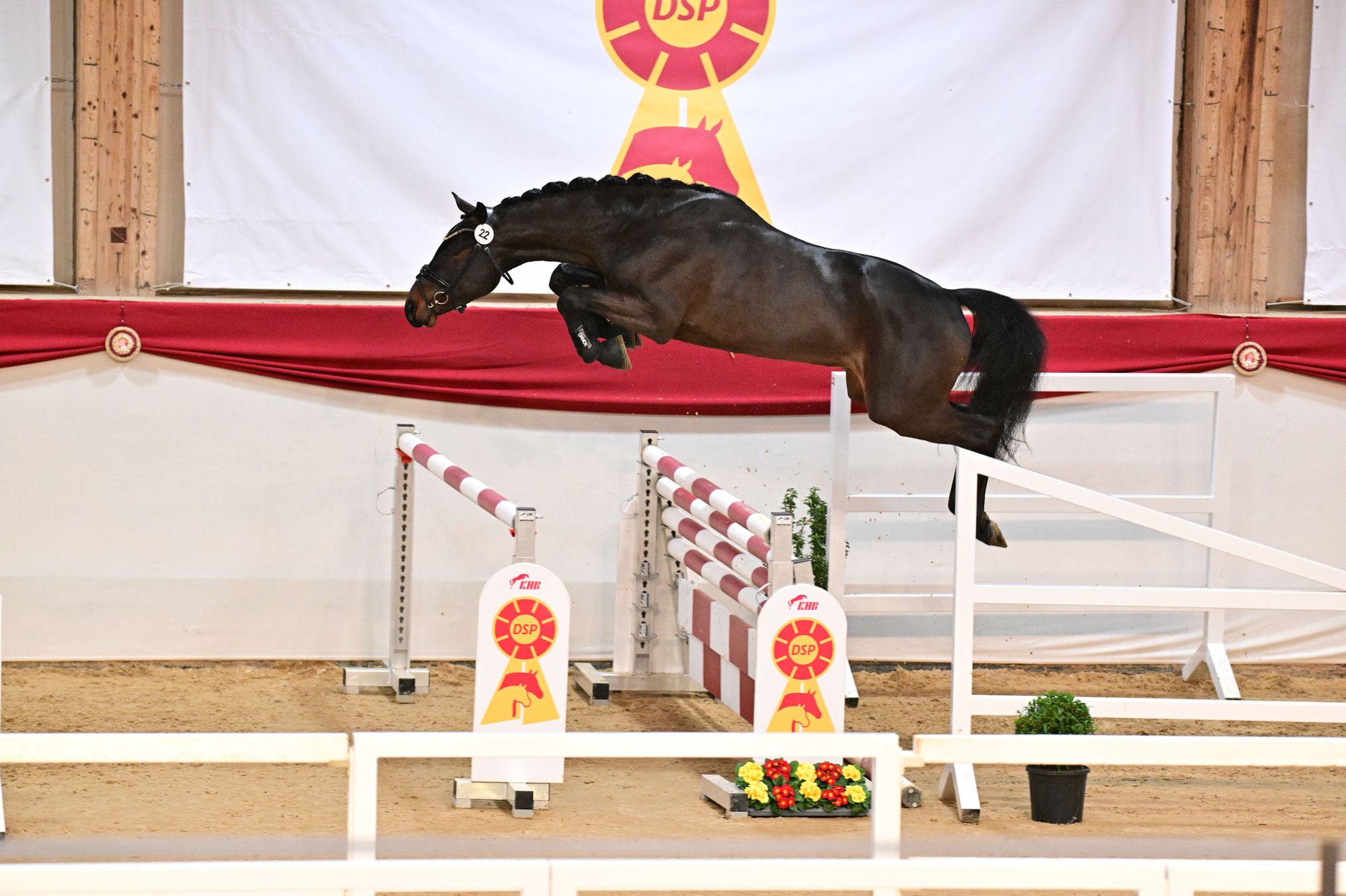 FS Heartful | Ferienhof Stücker