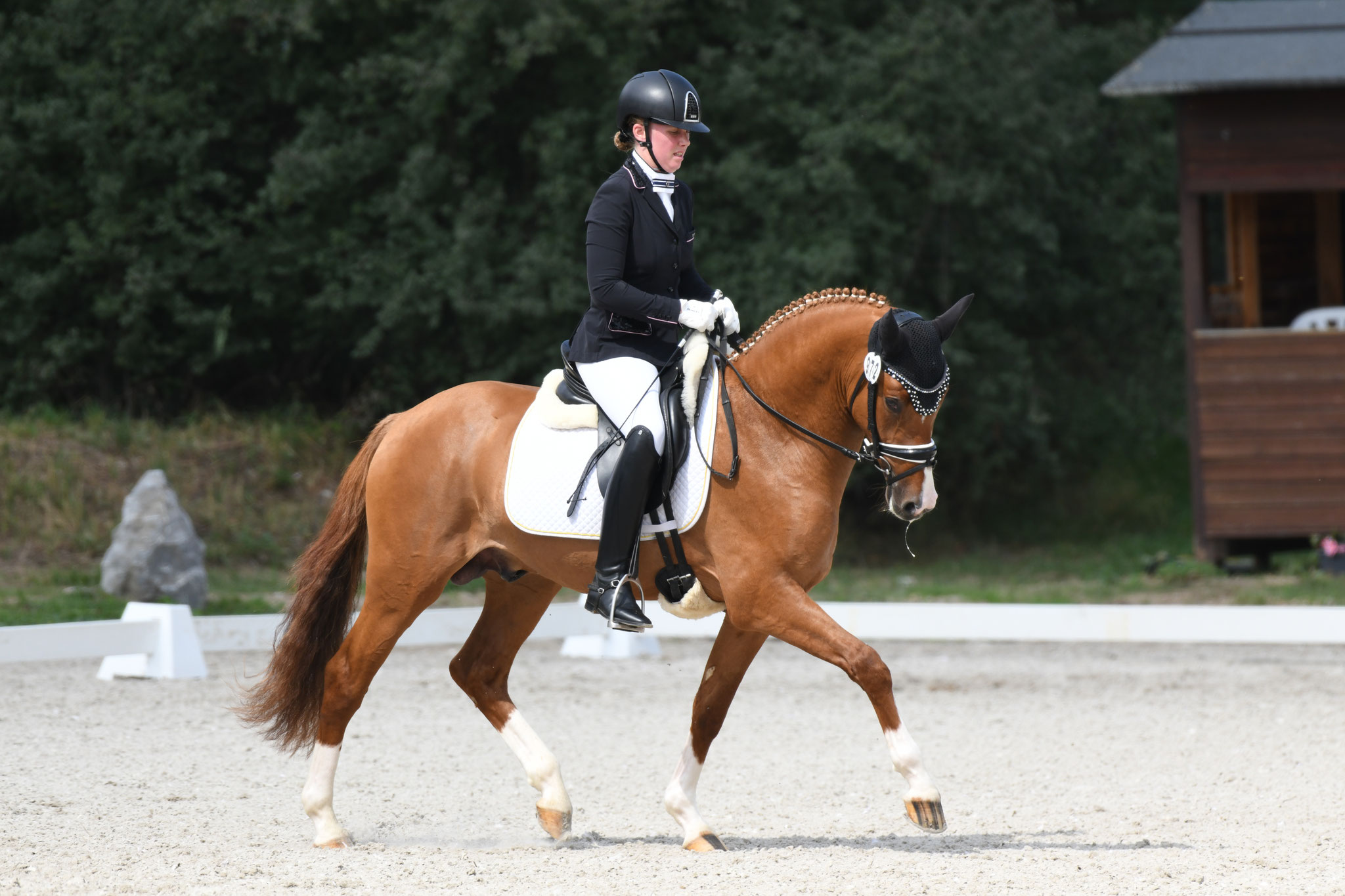FS Day by Day | Ferienhof Stücker