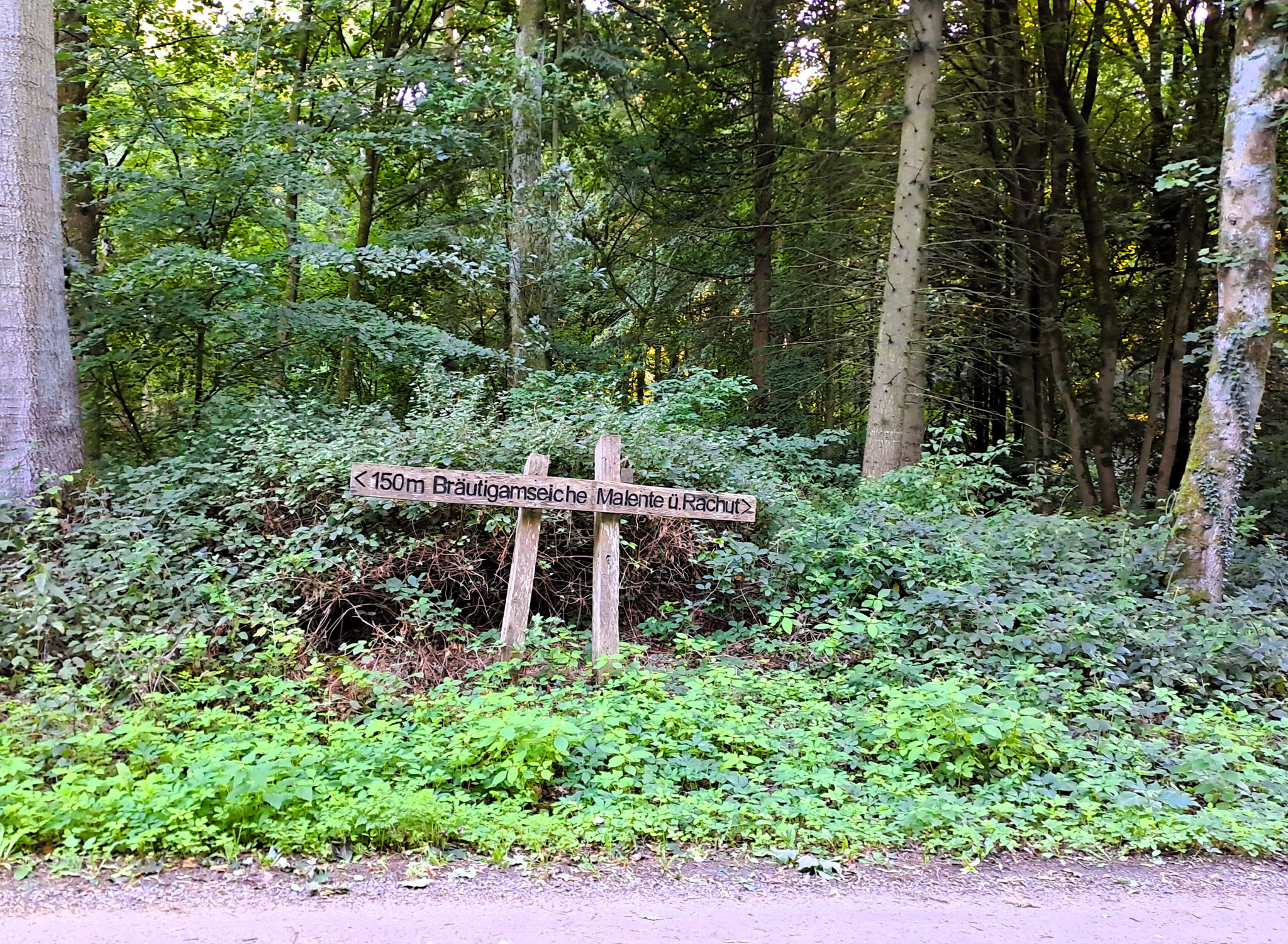 beim Forsthaus Dodau