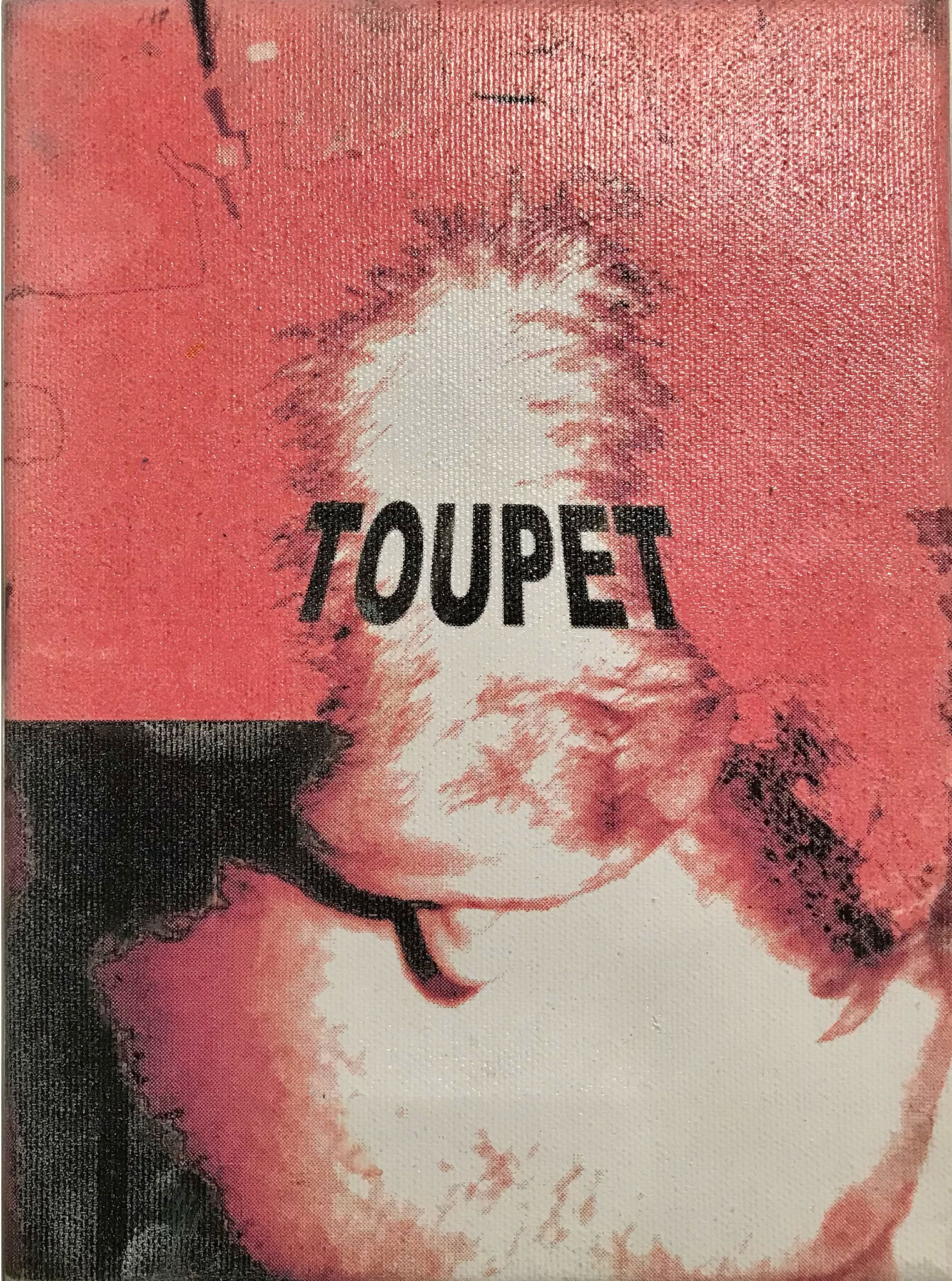 „Toupet“ - Digital Print auf Leinwand 18x24cm  2003