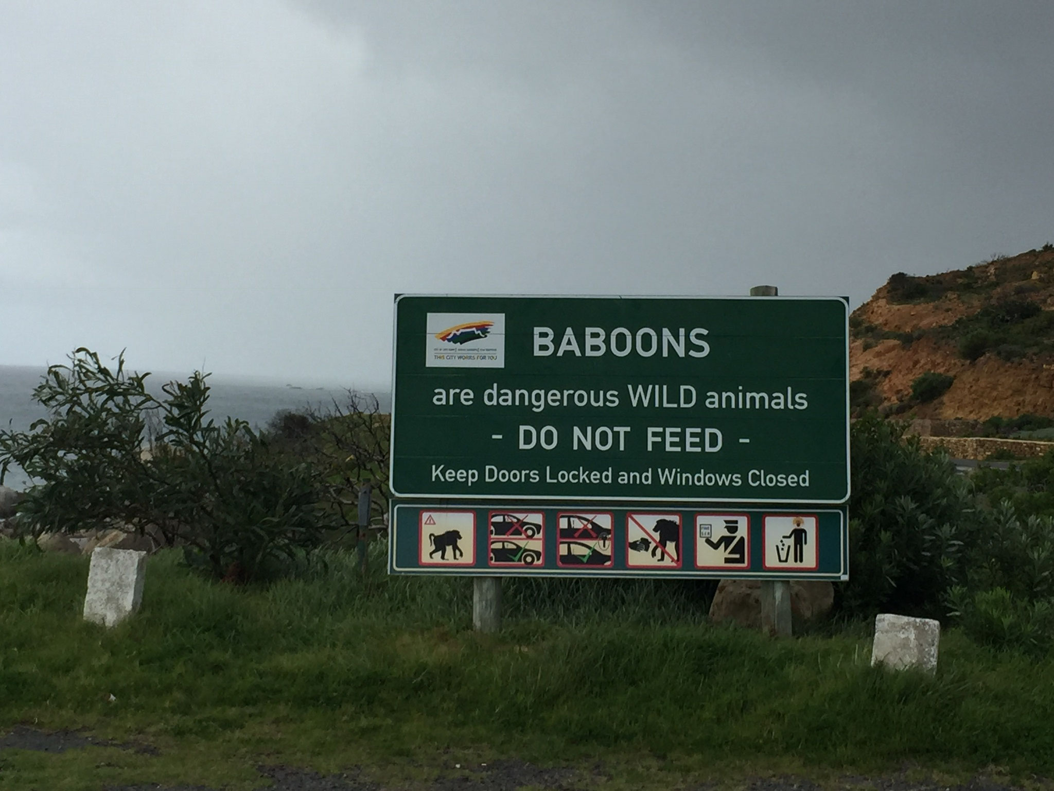 Überall Warnungen vor den Baboons ...