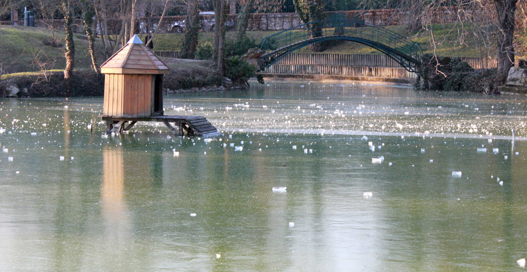 Parc à Verriere le Buisson (91) Gel de l'hiver 2012