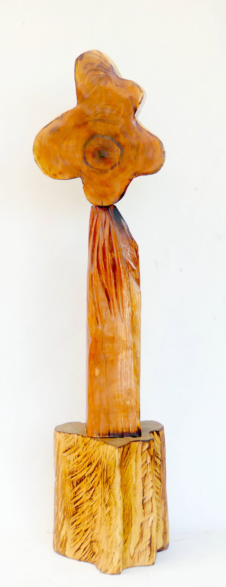 H = 76 cm