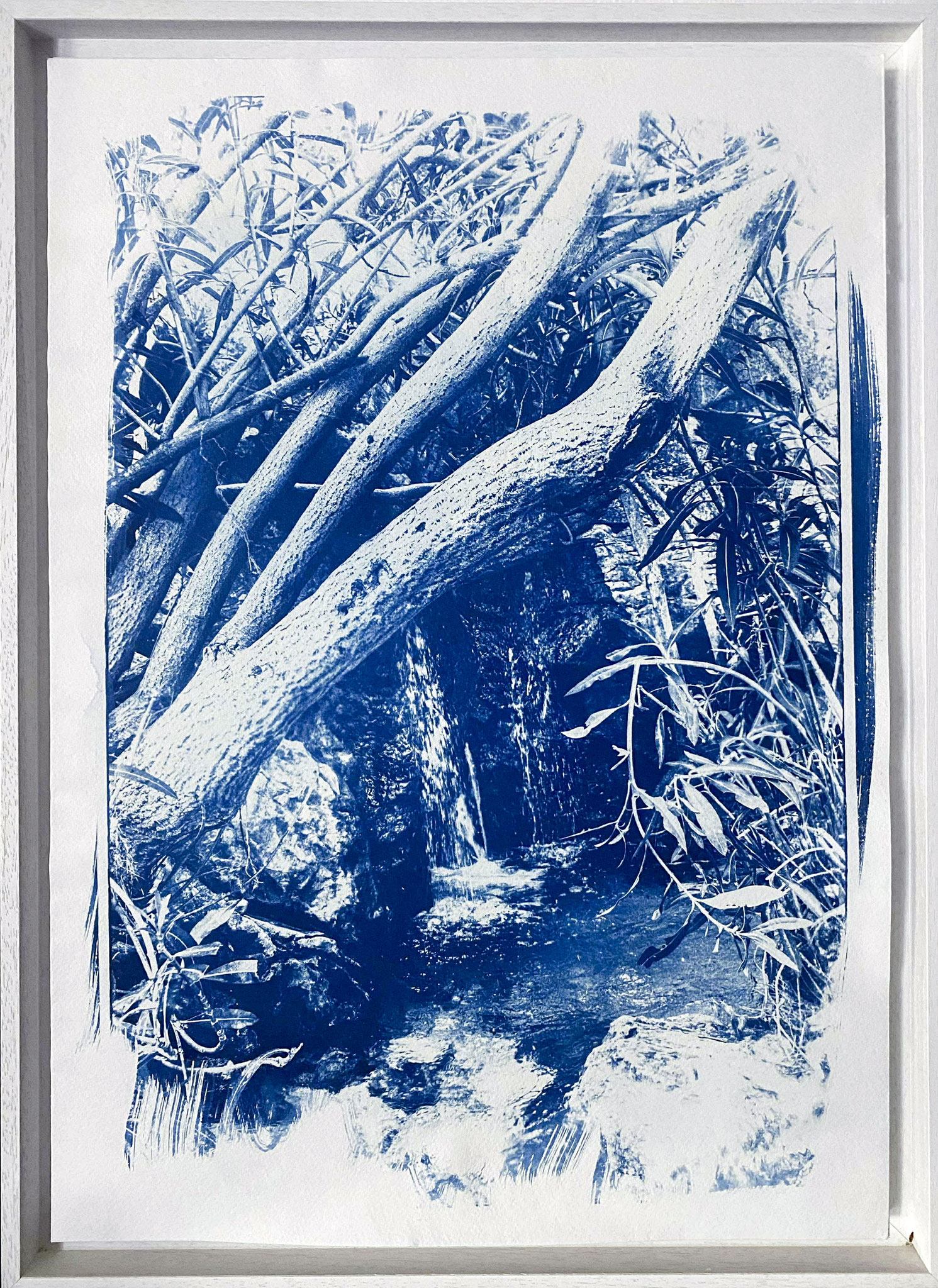 Isabelle PUEYO, " Paisible", Cyanotype, alchimie de sels de fer sur papier aquarelle,60 x 40 cm, 800€