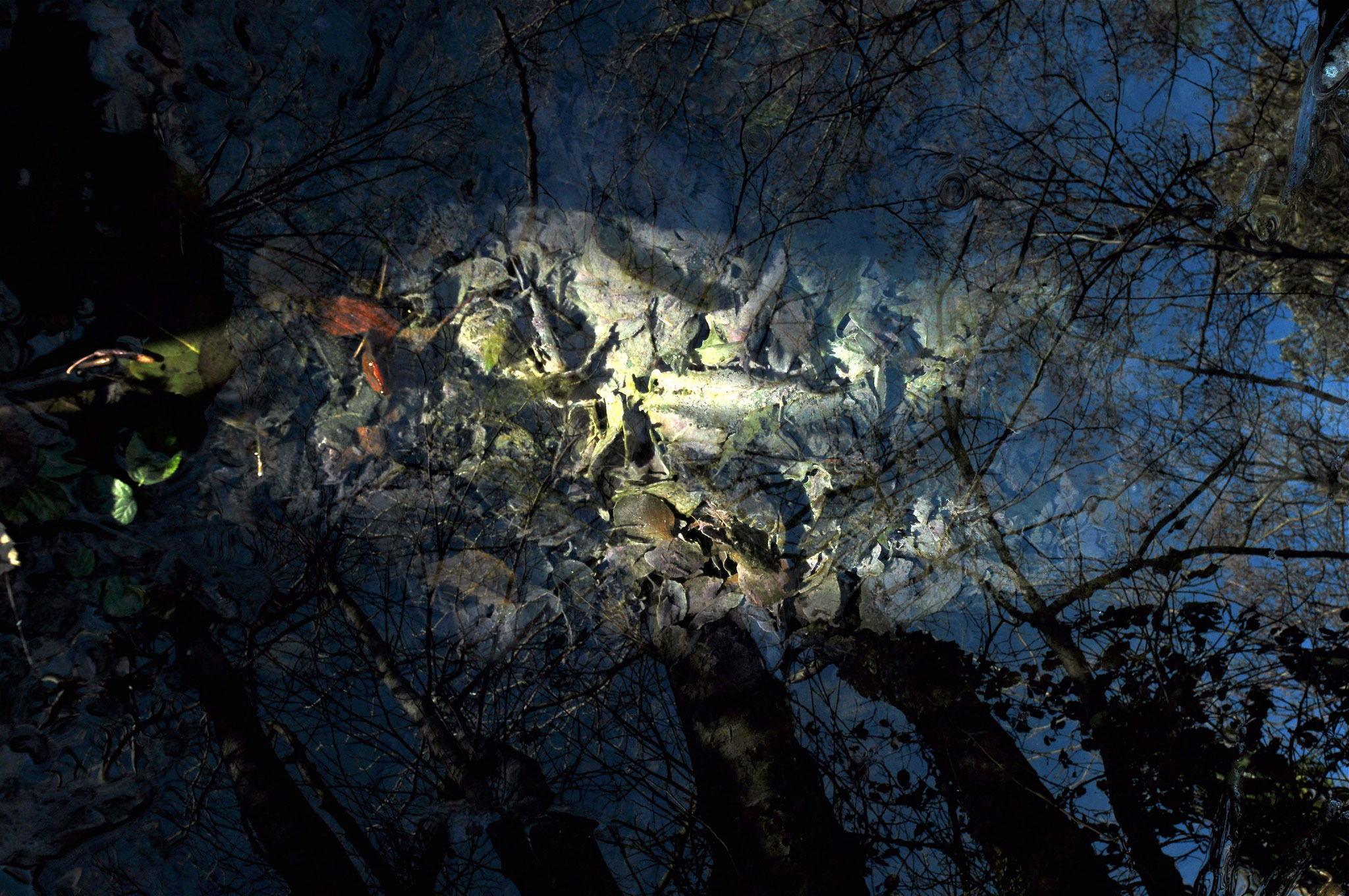 Raphaelle B, "Au delà du miroir",Photographie sur Dibond,30x60 cm, 190 €