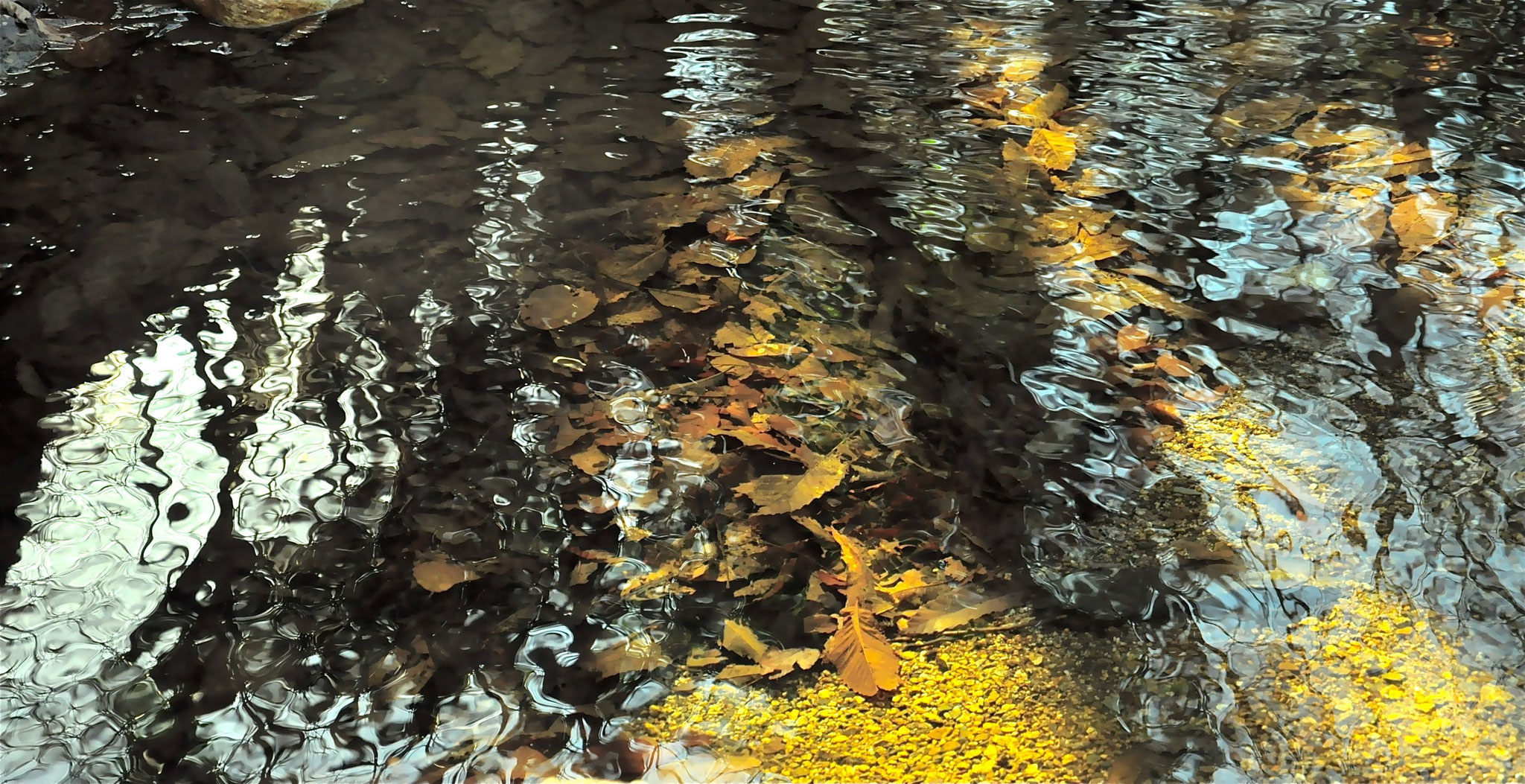 Raphaelle B, "D'Or et d'Argent",Photographie sur Dibond,30x60 cm, 190 €