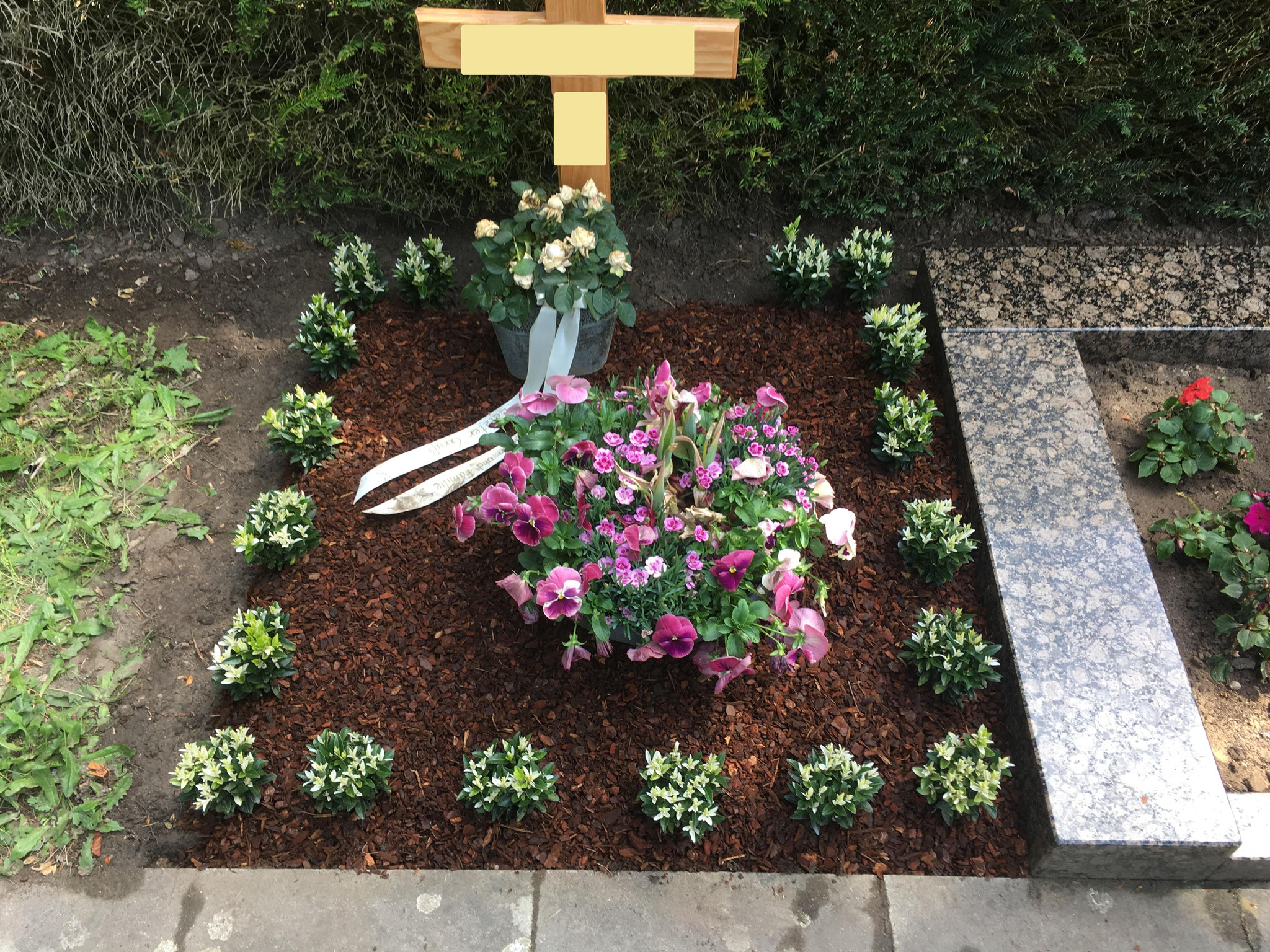 Blumen Service für den friedhof und für zuhause - Grabpflege