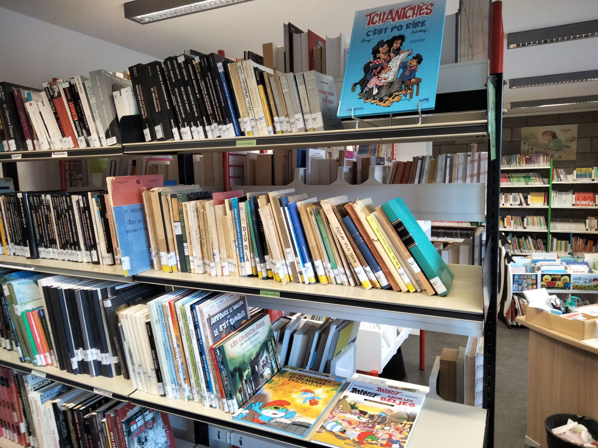 Bibliothèque de Richelle - Fonds wallon